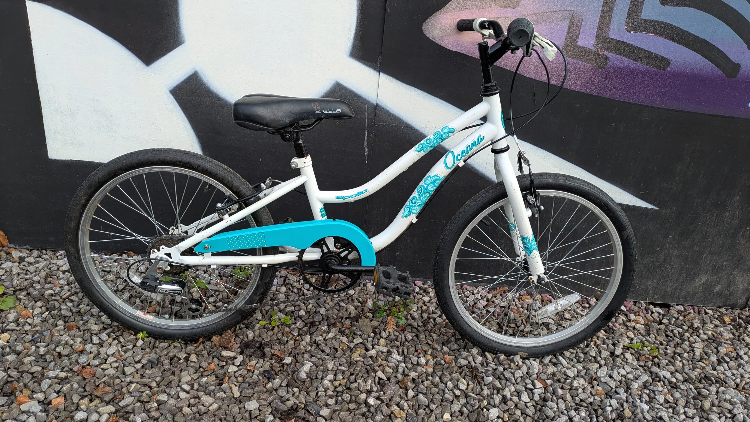 1000059936.jpg