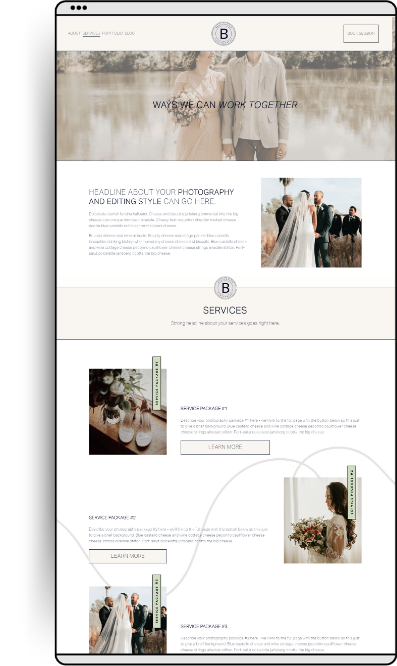 FD Template Shop BROCKOVICH Template Webpage Example 4.png