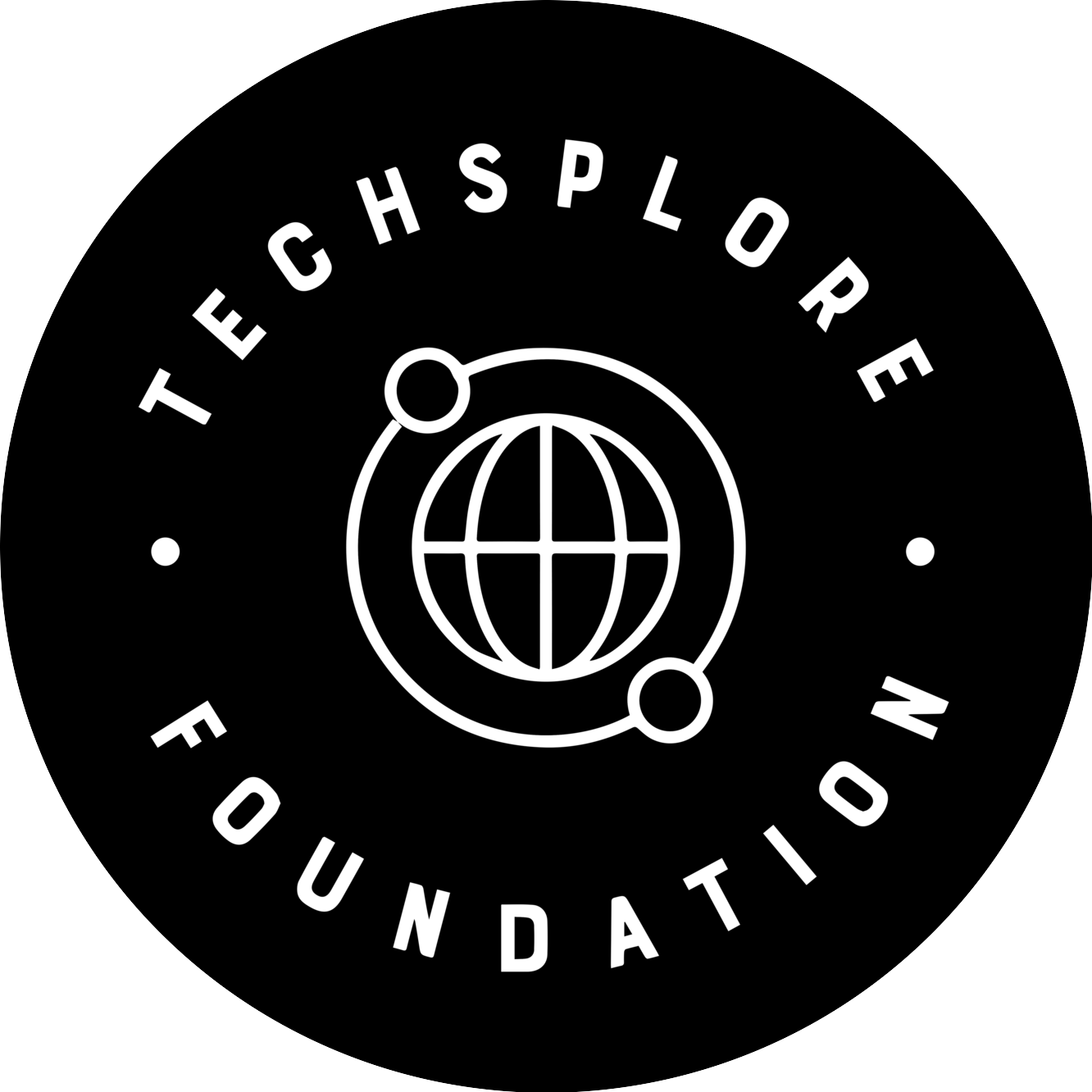 Techsplore Foundation