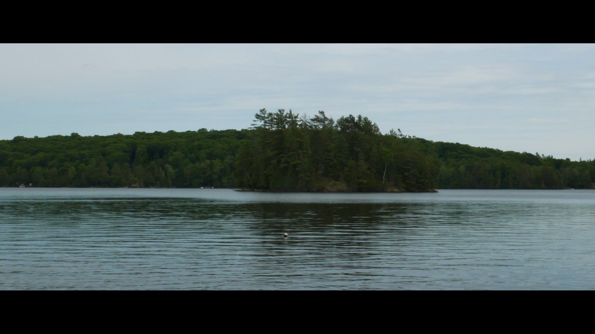 CANNING LAKE 2.jpg