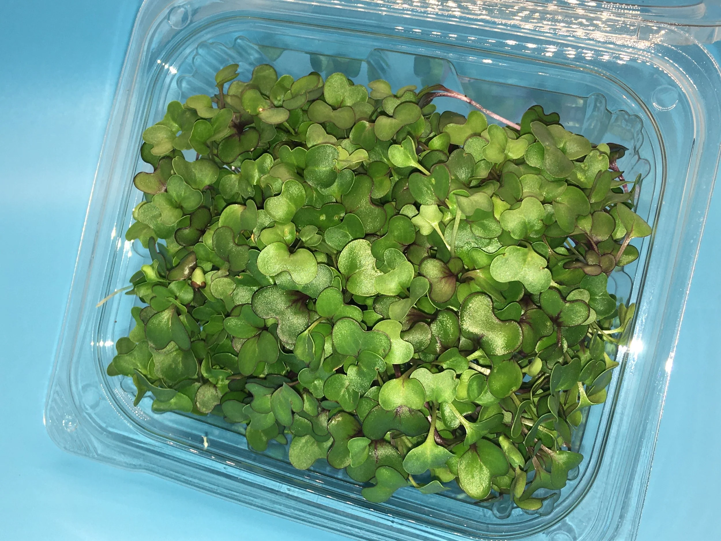 Brass Mix Compostable Clamshell 1-2oz Weekly Subscriptions