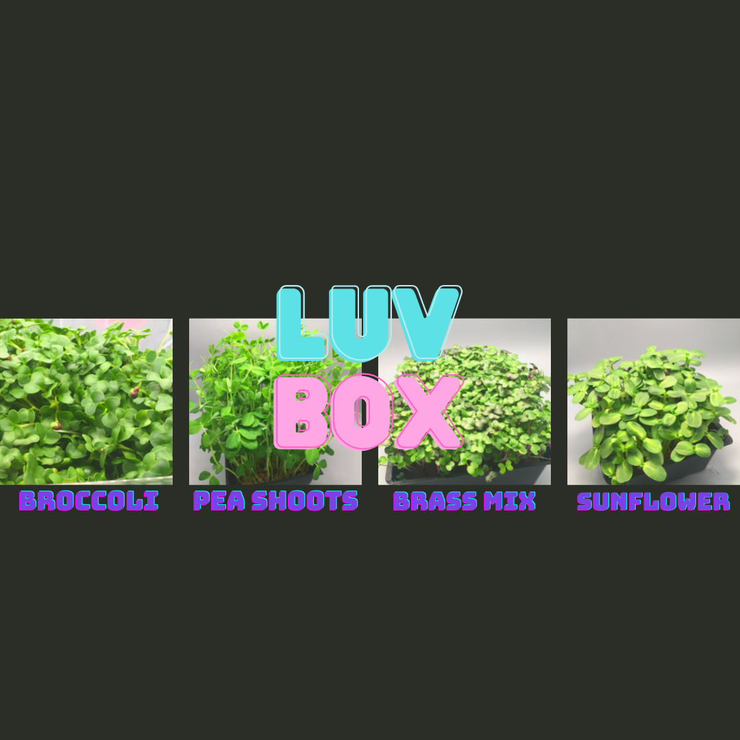 LUV Box Sampler (Growers Select) Bi-weekly Subscription