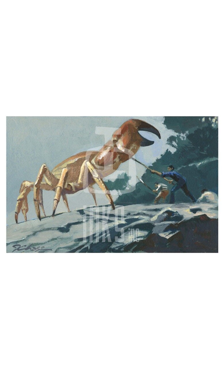 crabMarked.jpeg