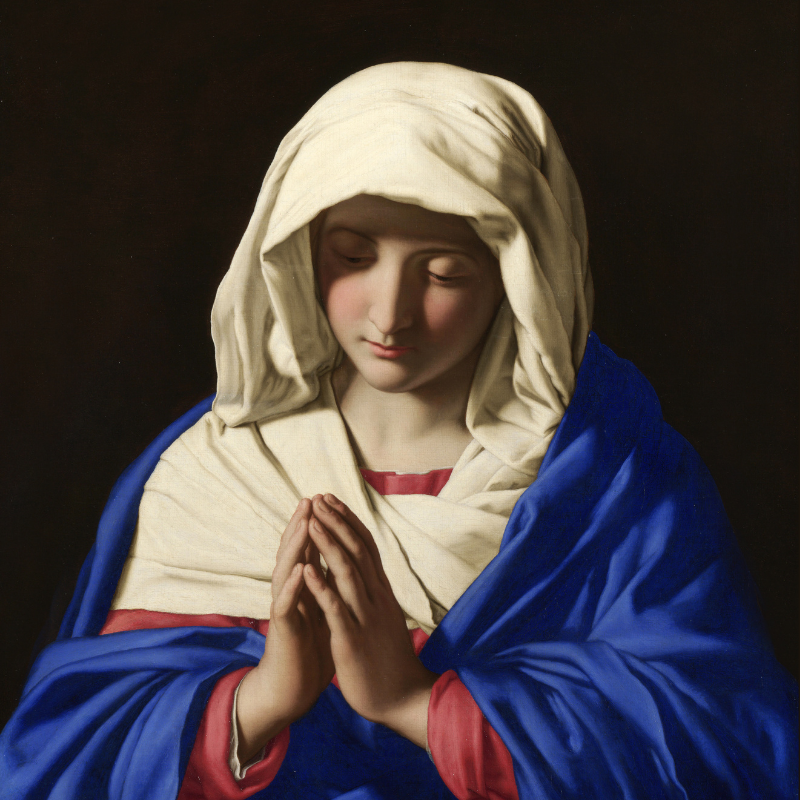 Solemnity of the Immaculate Conception of the Blessed Virgin Mary
