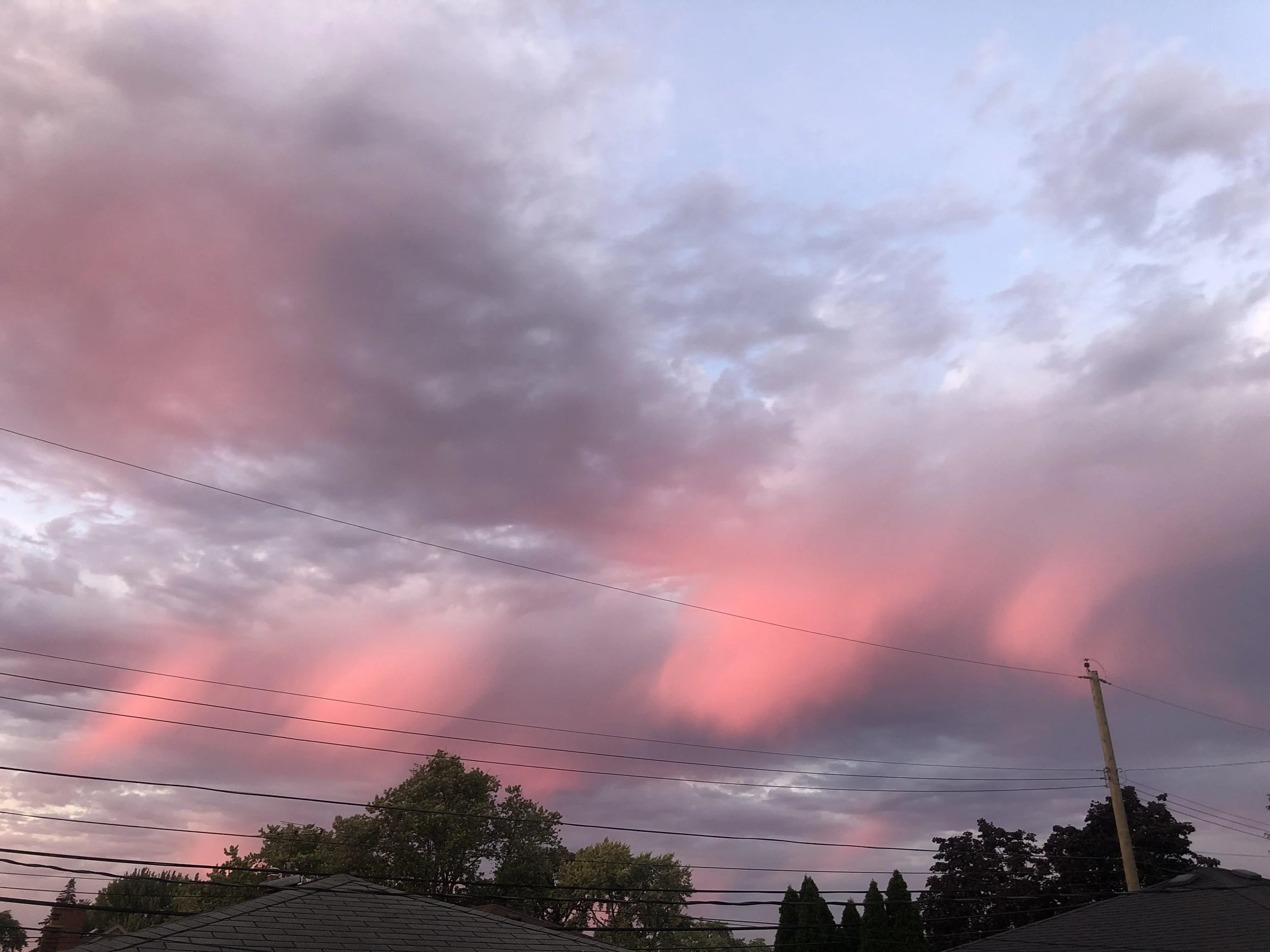 Golden Hour Portion of "Hypocorism" (ROUND 1)