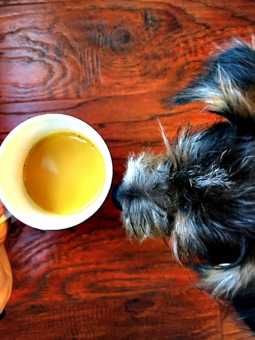 GOLDEN MILK AKA TURMERIC “TEA”