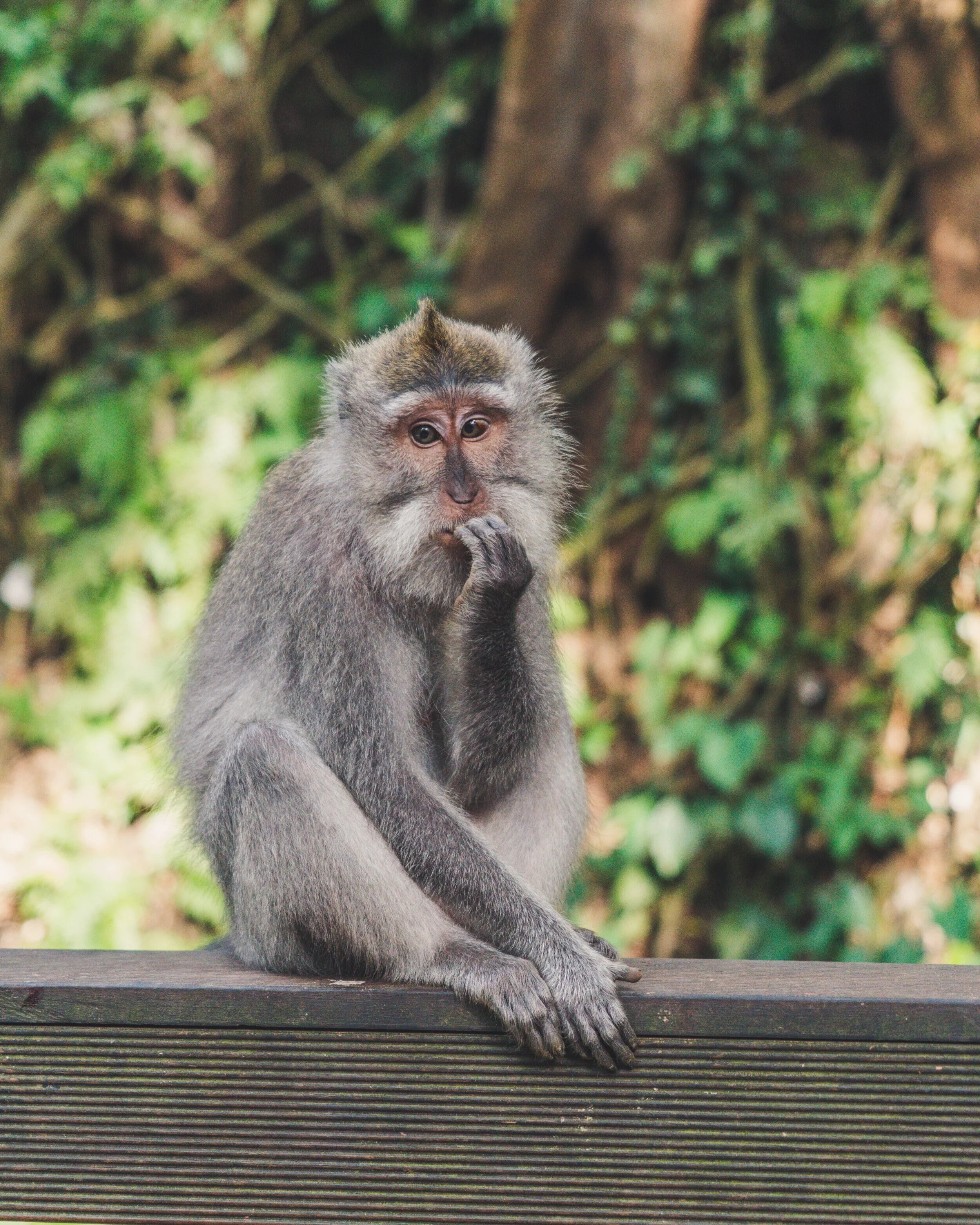 There is Only One Thing of Which You Can Be Certain… Uncertainty