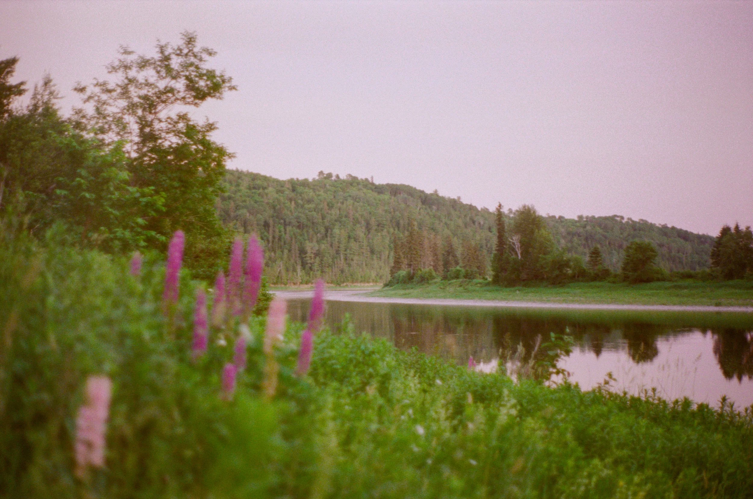 000023730018.jpg