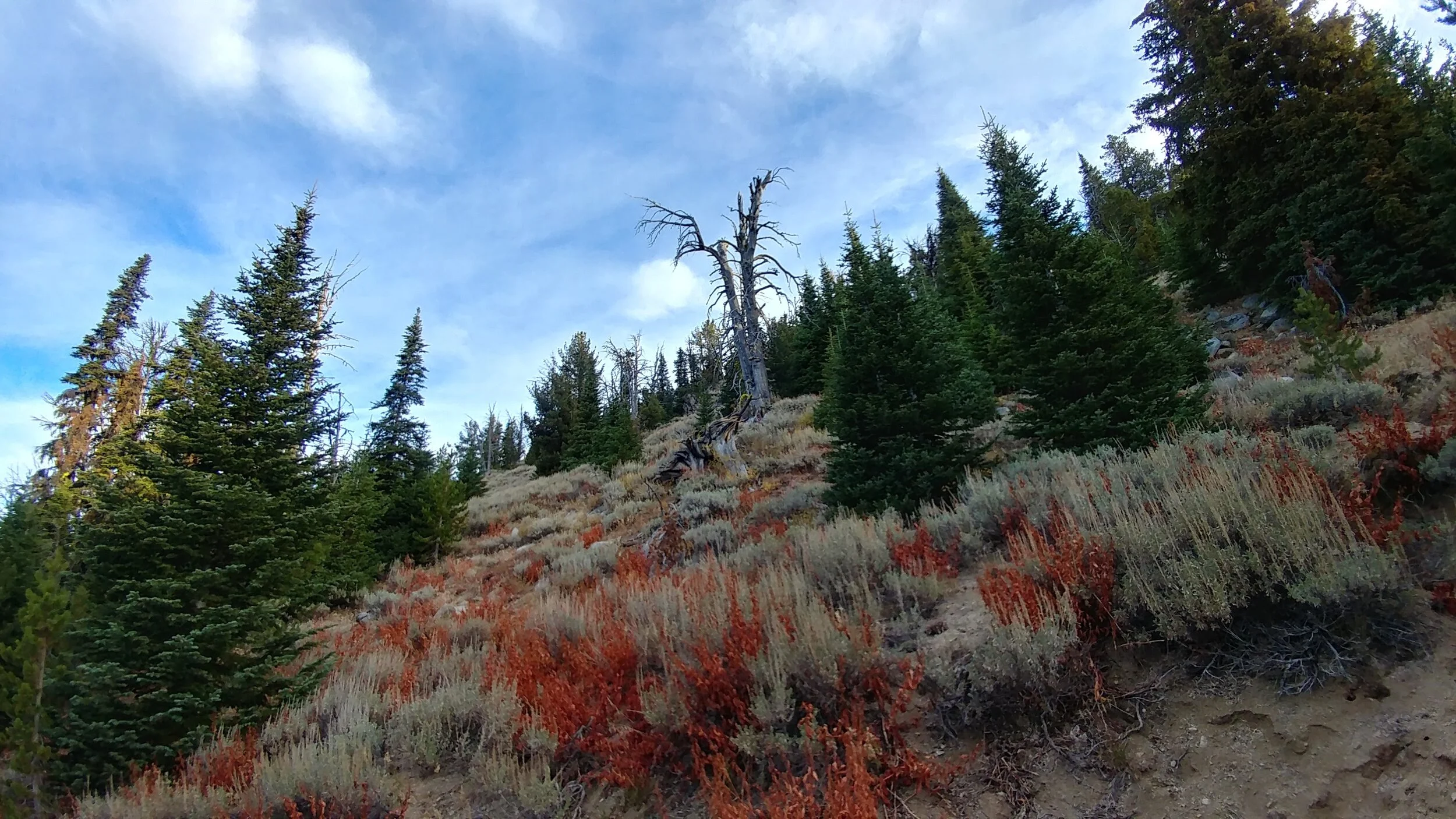 20181001_074142_HDR.jpg