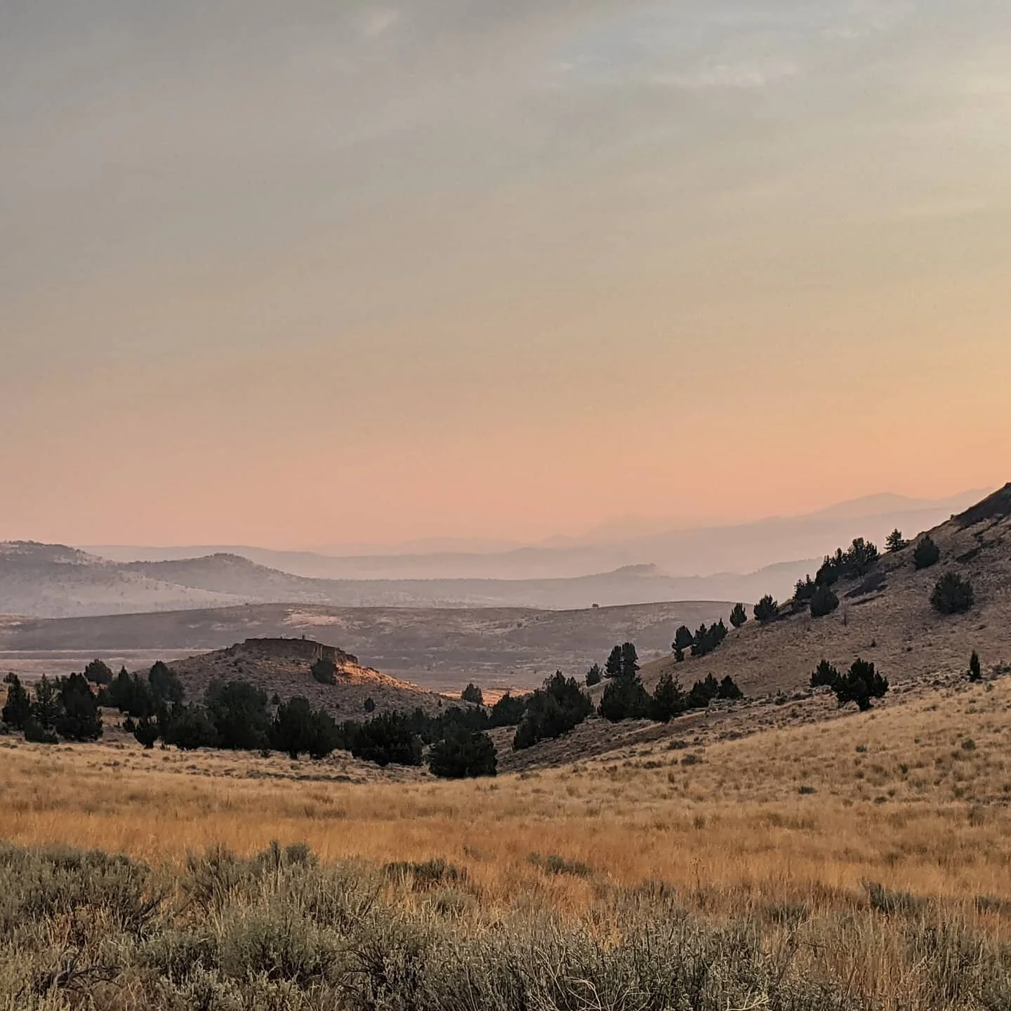 It's nigh on rifle season for most big game, get out there and get after it!
.
.
#biggameseason #biggamehunting #deerseason #elkseason #publiclandowner #publicland #publiclandhunting #keepitpublic #keepitclean #conservation #pnw #pnwwonderland #easte