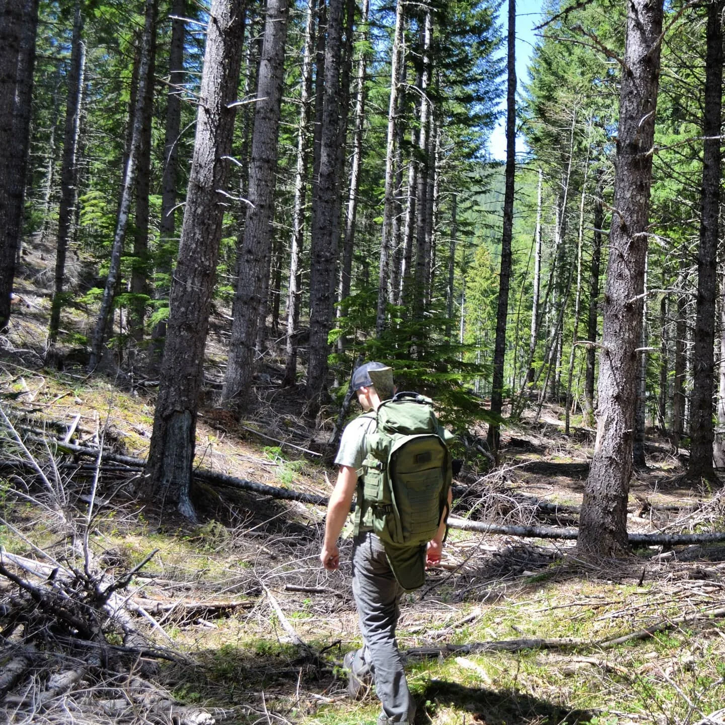 T-Minus one week until our new store launches with over a dozen products including these awesome rifle packs!
.
.
#adventurecompany #adventureharder #gearcompany #gearfreak #merch #repyourgear #repyourbrand #bushcraft #bushcraftgear #bushcrafting #hu