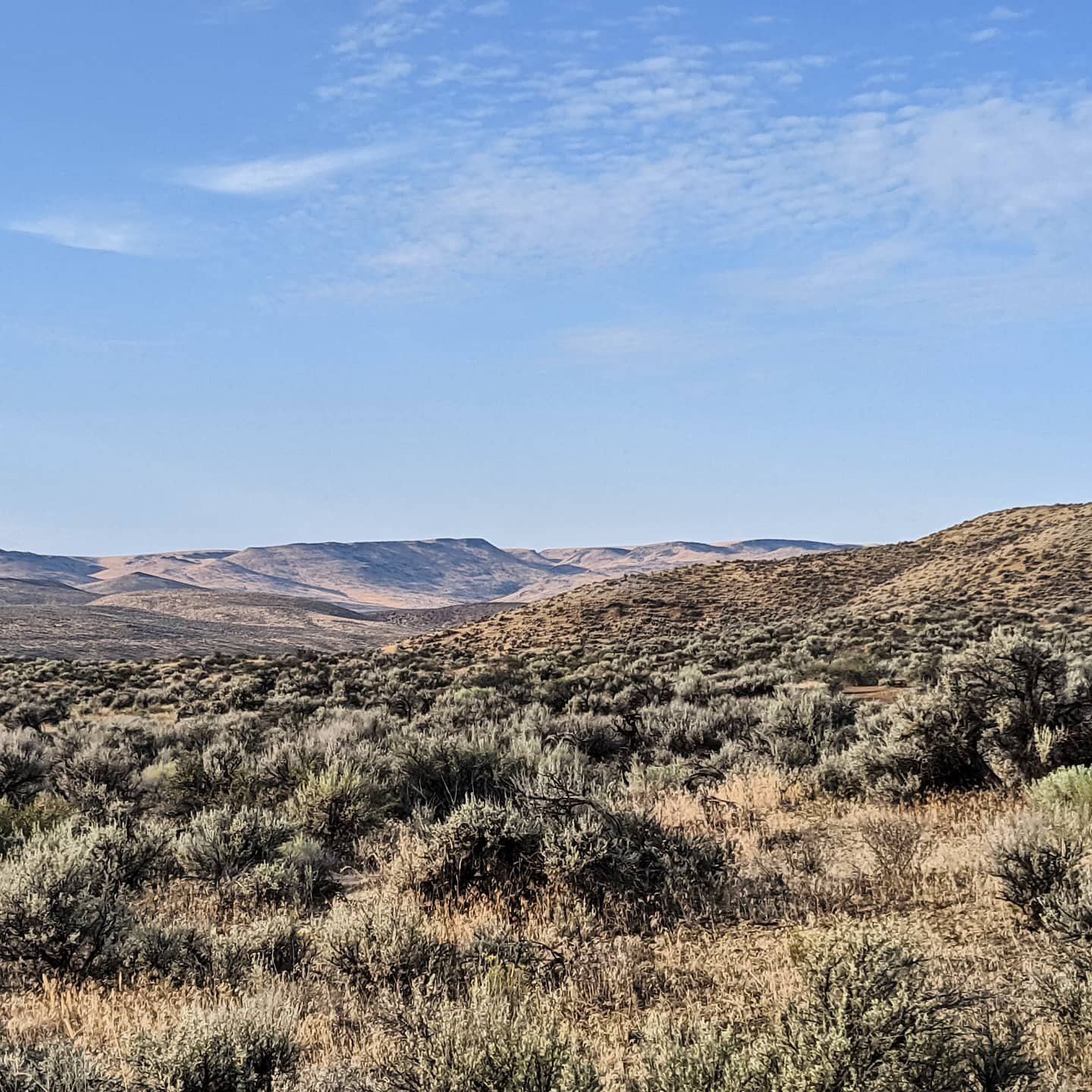 The winter is when next season's hunts are planned. We spend all year thinking about a few special weeks!
.
.
#huntplanning #huntingfreak #huntingseason #biggameseason #biggamehunting #deerseason #antelopeseason  #publiclandhunting  #publicland #keep