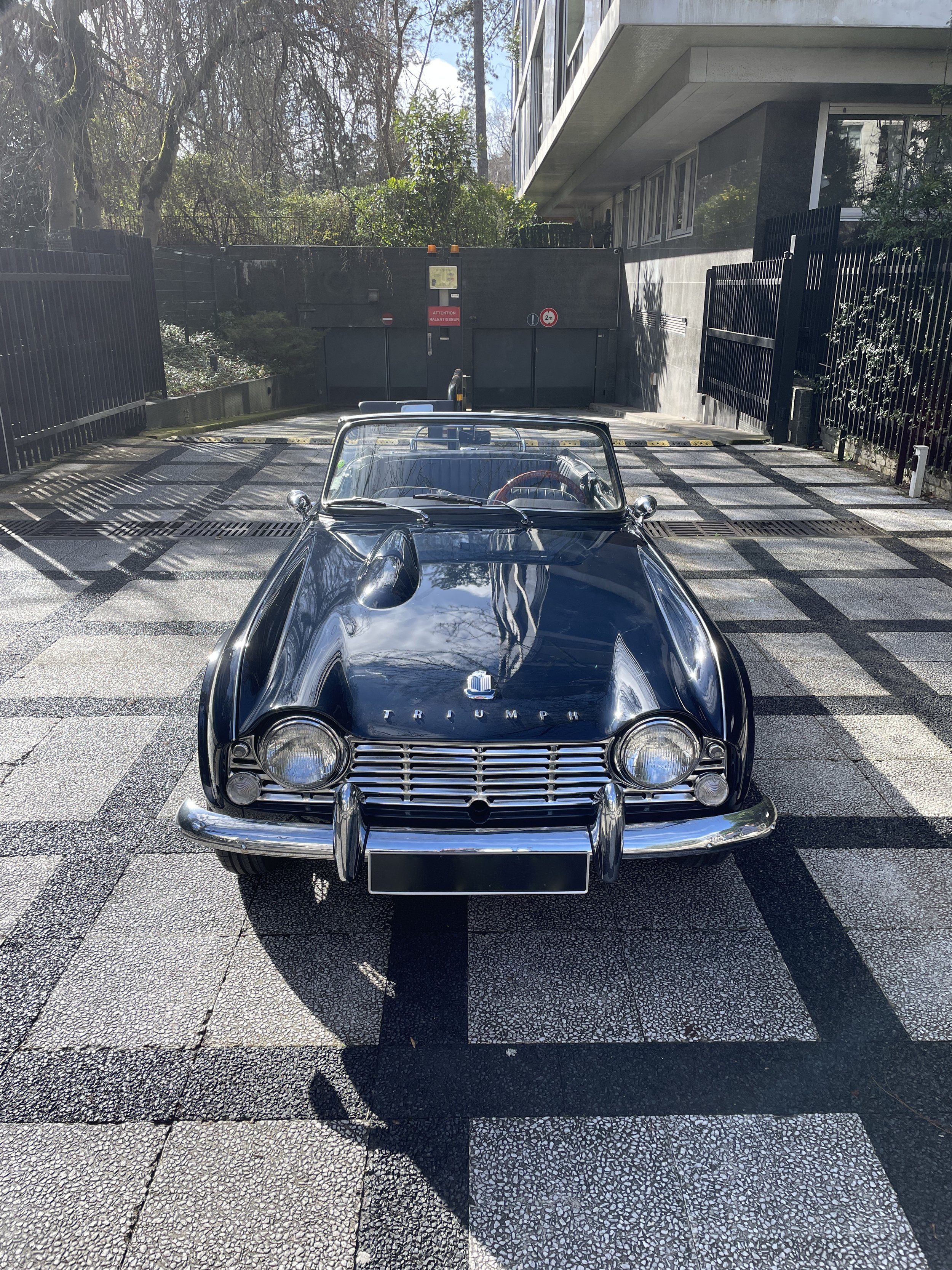 Triumph TR4