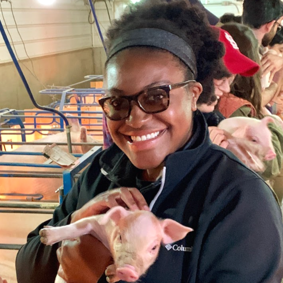  Brittany holds a small piglet, standing in an agriculture livestock building. 