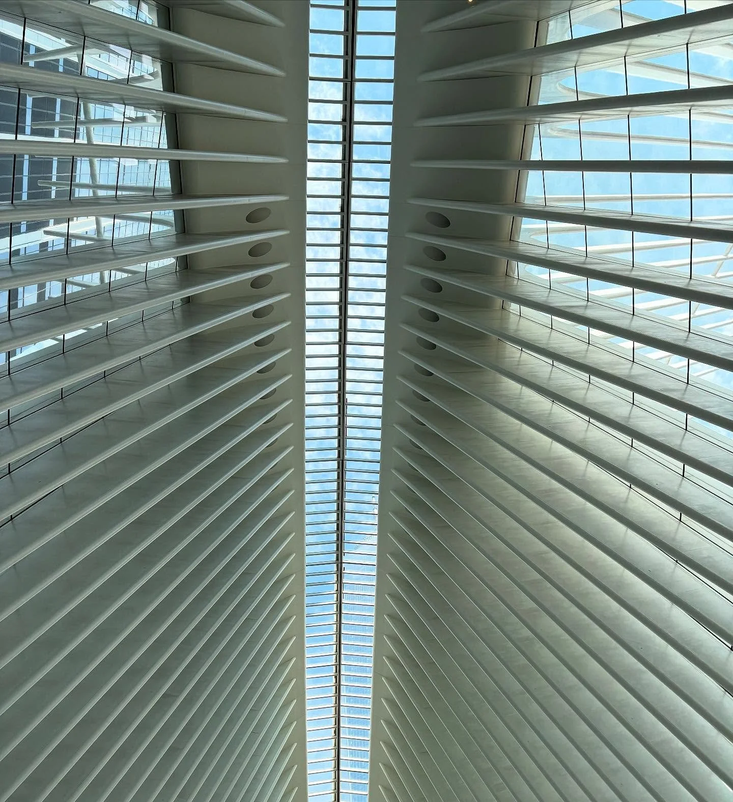 The Oculus... last morning commute of the 24/25 school year  #Oculus #NYCarchitecture #exoskeleton #SYPlife #summerishere☀️😎