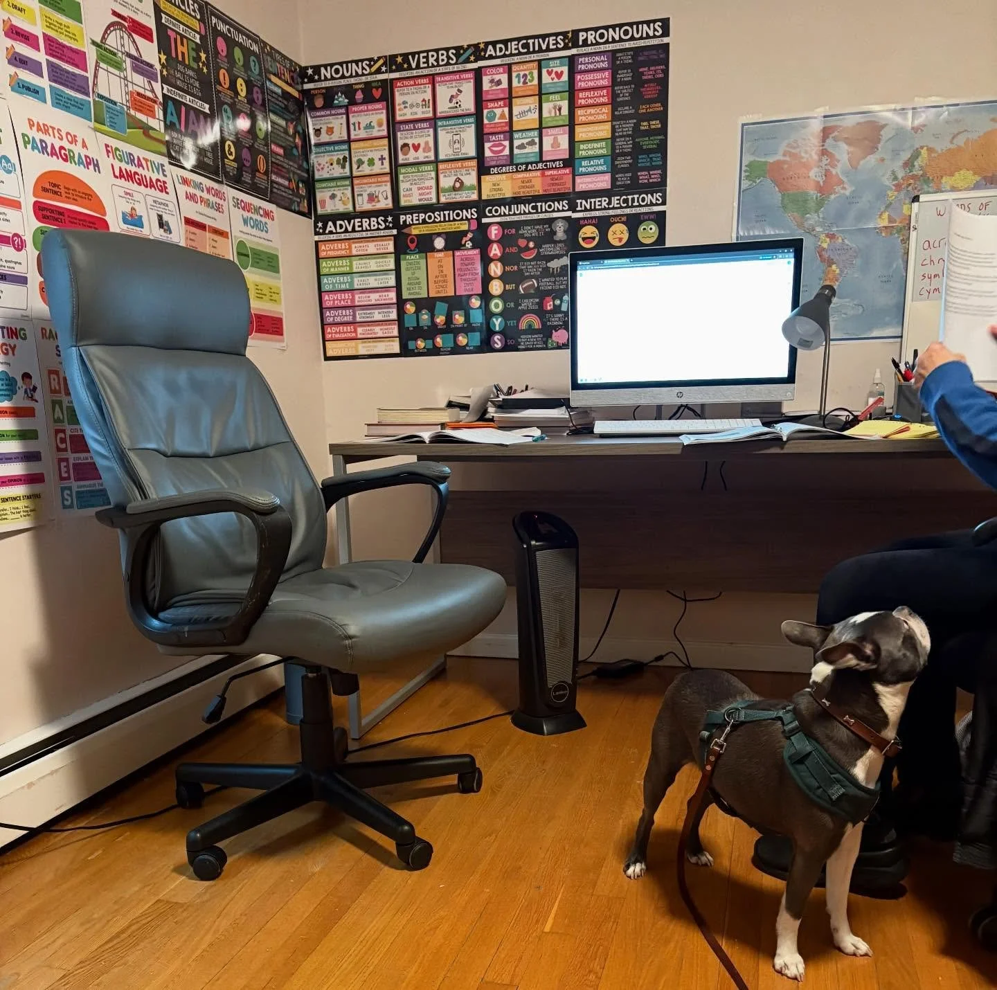 One of SYP's mascots, Wonka, joined @iris_headofschool on a classroom visit! Wonka was an excellent guest, listening to the student and his teacher. And, of course, lots of love for the Head of School #SYPLife #SYPmascot #bostonterriersofinstagram