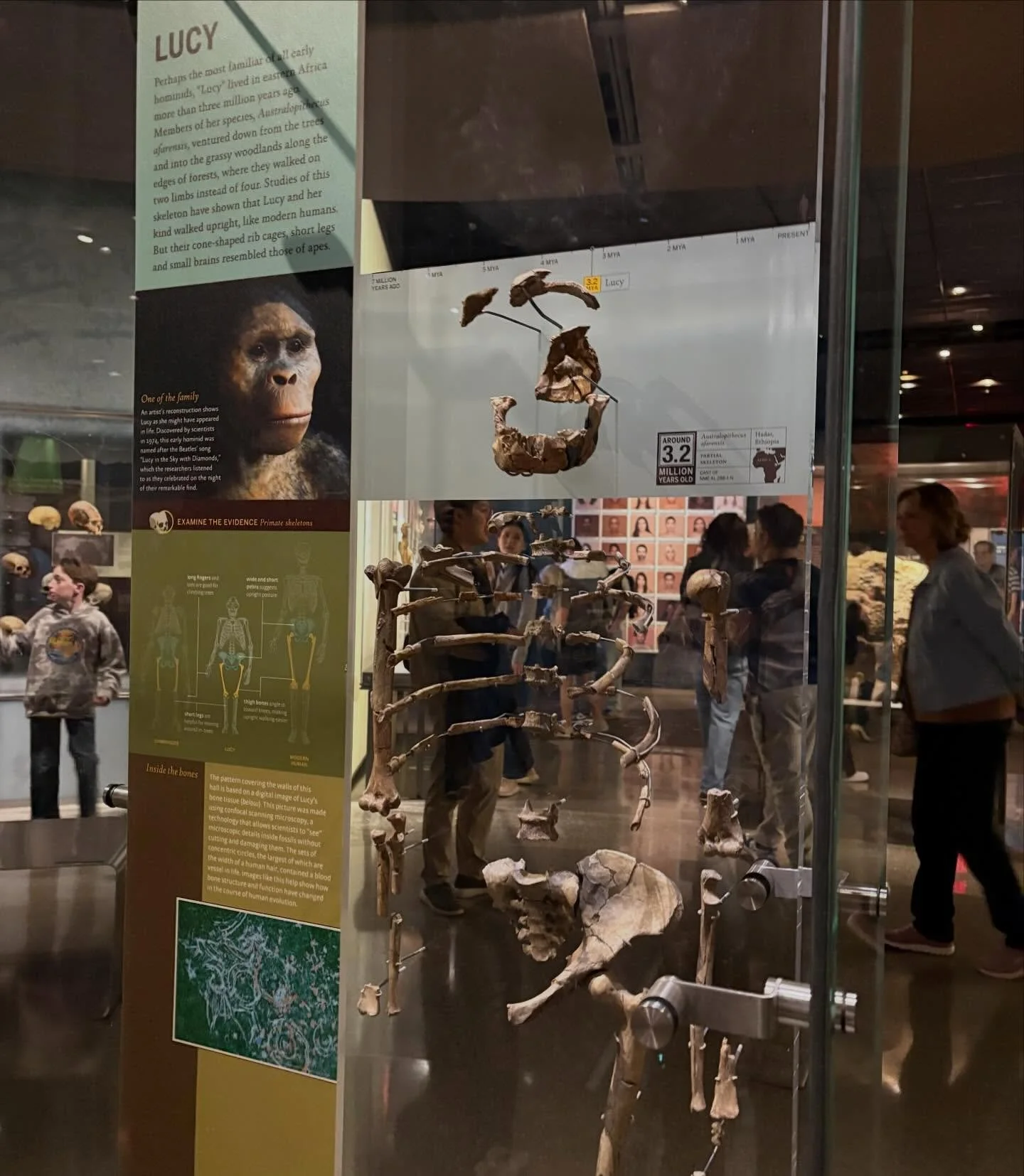 @schoolforyoungperformers field trip to @amnh for two SYP middle schoolers - our resident science teacher kept the focus on two core topics as there is just too much to see and learn in one afternoon!