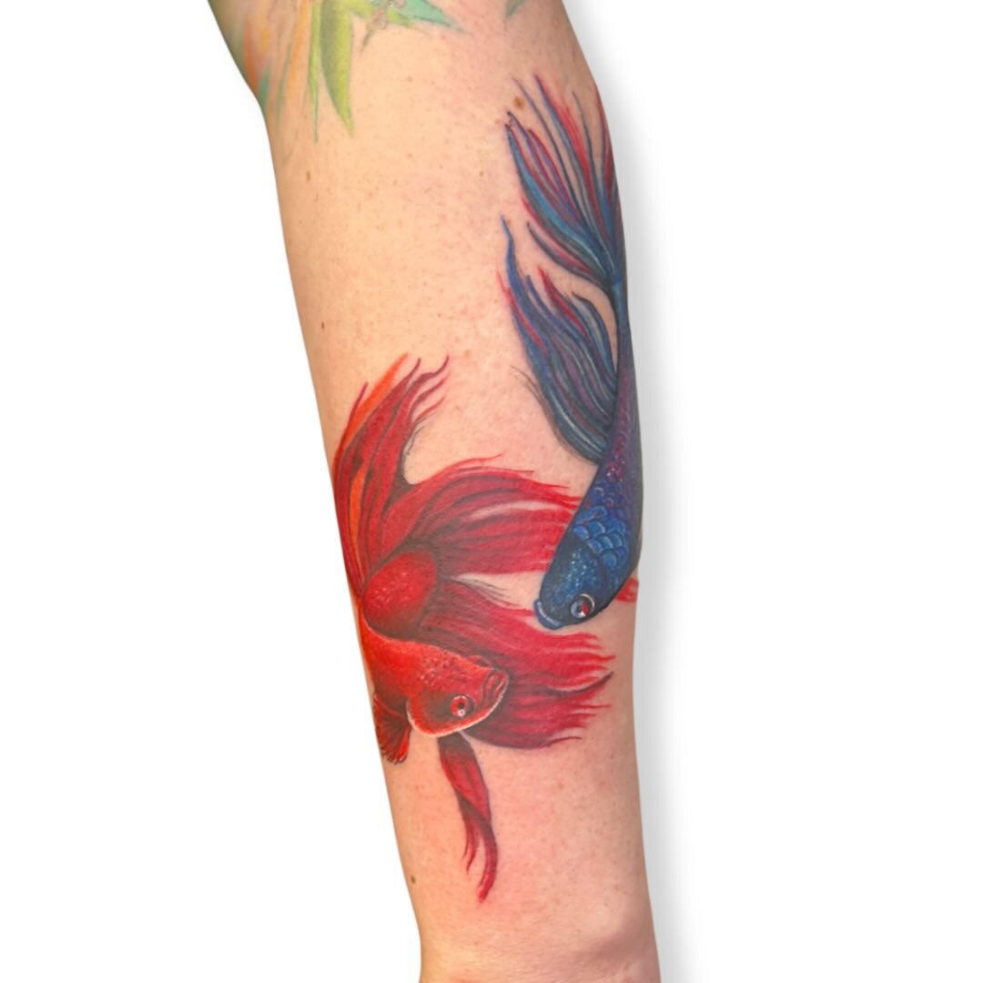 Beautiful Beta Fish by Rebecca, @rebeccabettz &hearts;️ We always enjoy when a tattoo&rsquo;s placement allows it to wrap around the body and create a natural flow, and Rebecca&rsquo;s color saturation is just stunning! 

Click the link in @rebeccabe