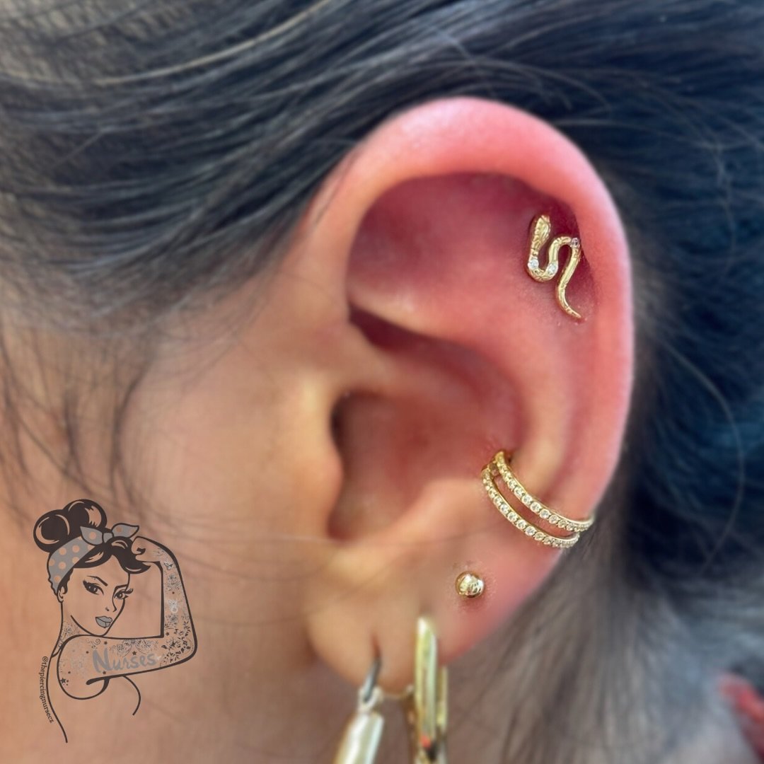 A golden trio from Invictus @invictus_bodyjewelry pierced by Christine @thepiercingnursecz 🤍 We are in love with the CZ Snake in this lovely client&rsquo;s tragus✨

Click the link in our bio to book your next piercing appointment today!

#westport #