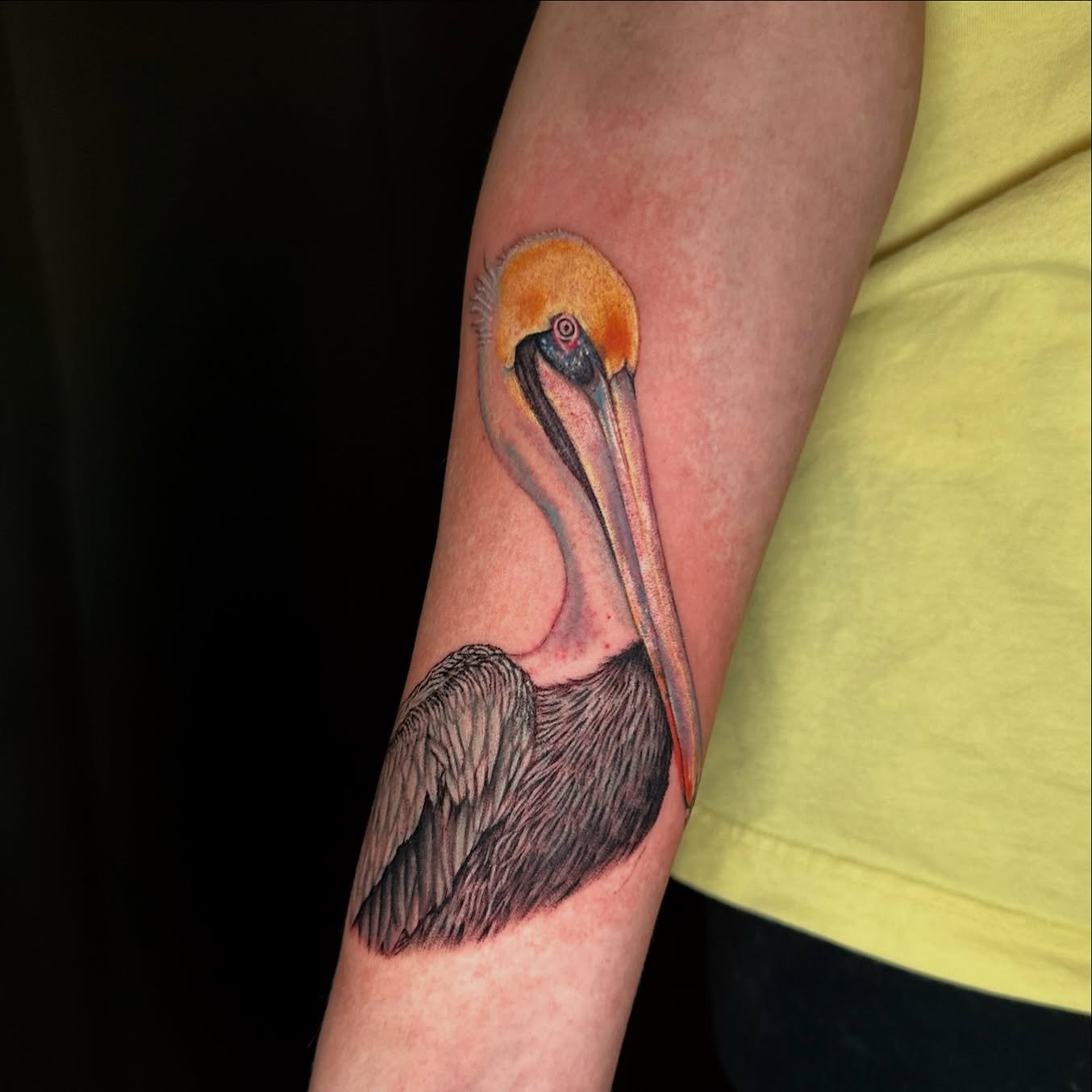 Stunning work by the beautiful @amandamastattoo 🪶 Amanda has been loving color recently, and her application truly pops in this piece.

Click the link in our bio to learn more about Rebel &amp; Rose today! 

blackandgreytattoo #finelinetattoo #linew
