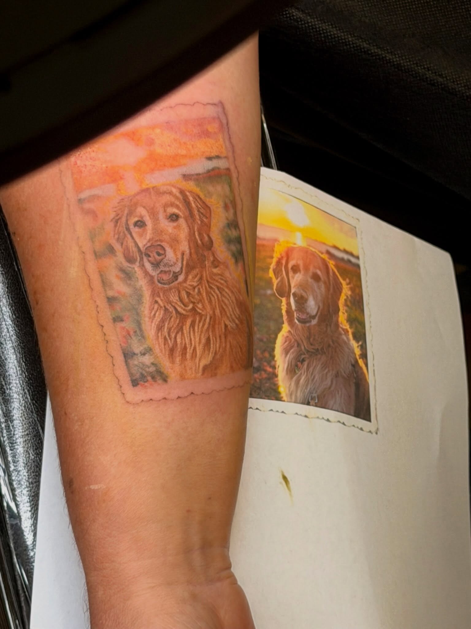 Tiny portraits, big personalities. 🐾🤍 Forever keeping your best friend close