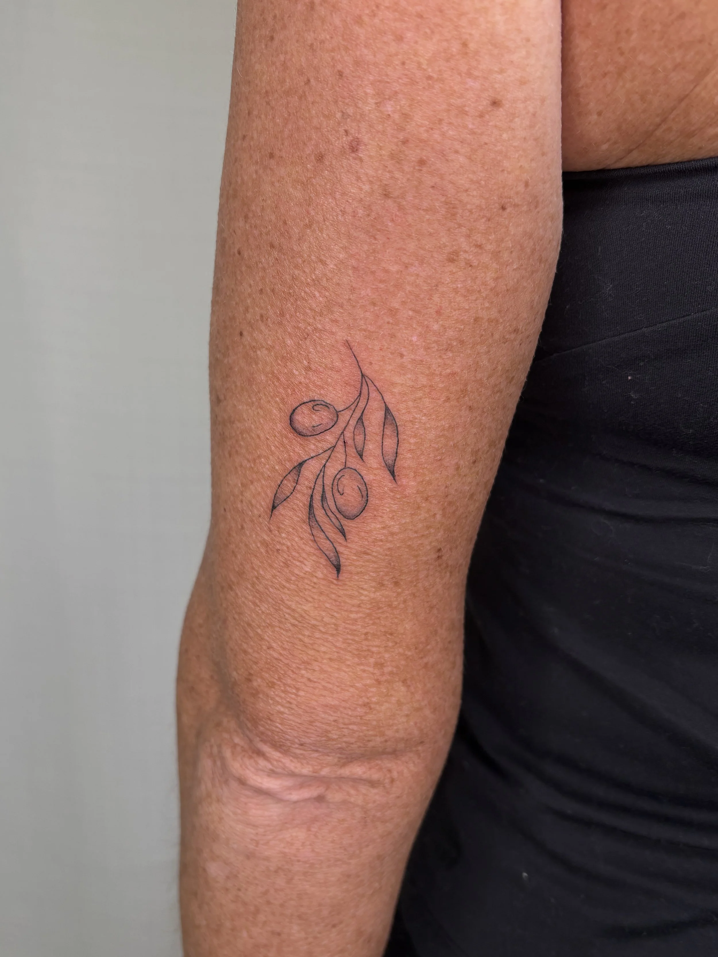 An olive branch tattoo done by Brooke Kalynn