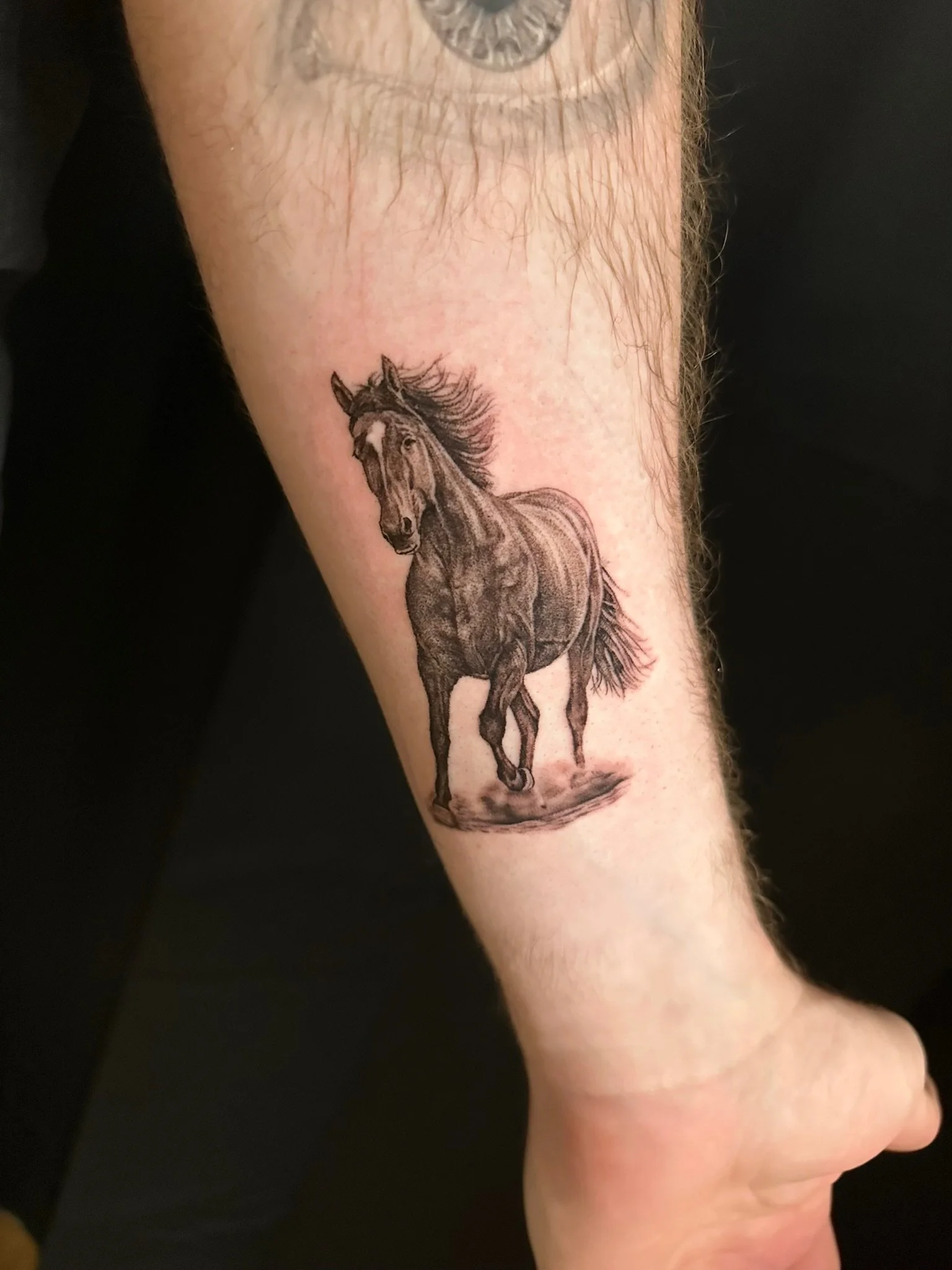 A tattoo of a horse