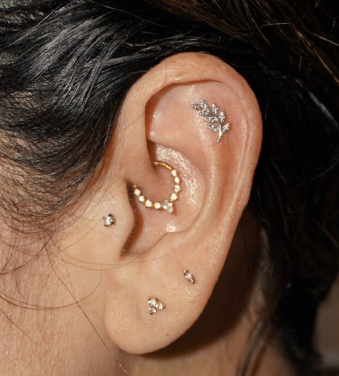 Screen Shot 2026-02-24 at 4.42.22 PM.png