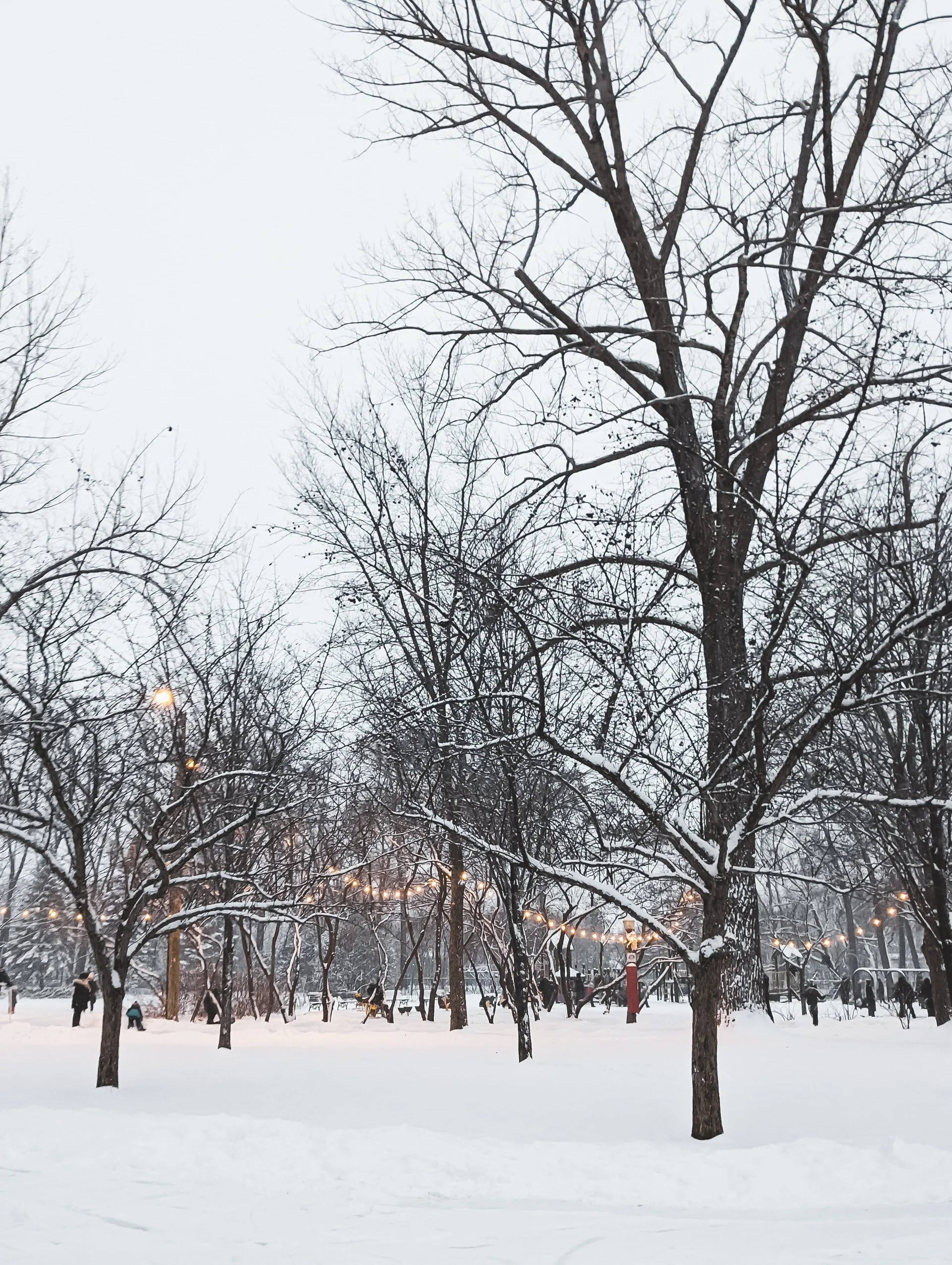 Outdoor Winter Dining during the COVID-19 Pandemic