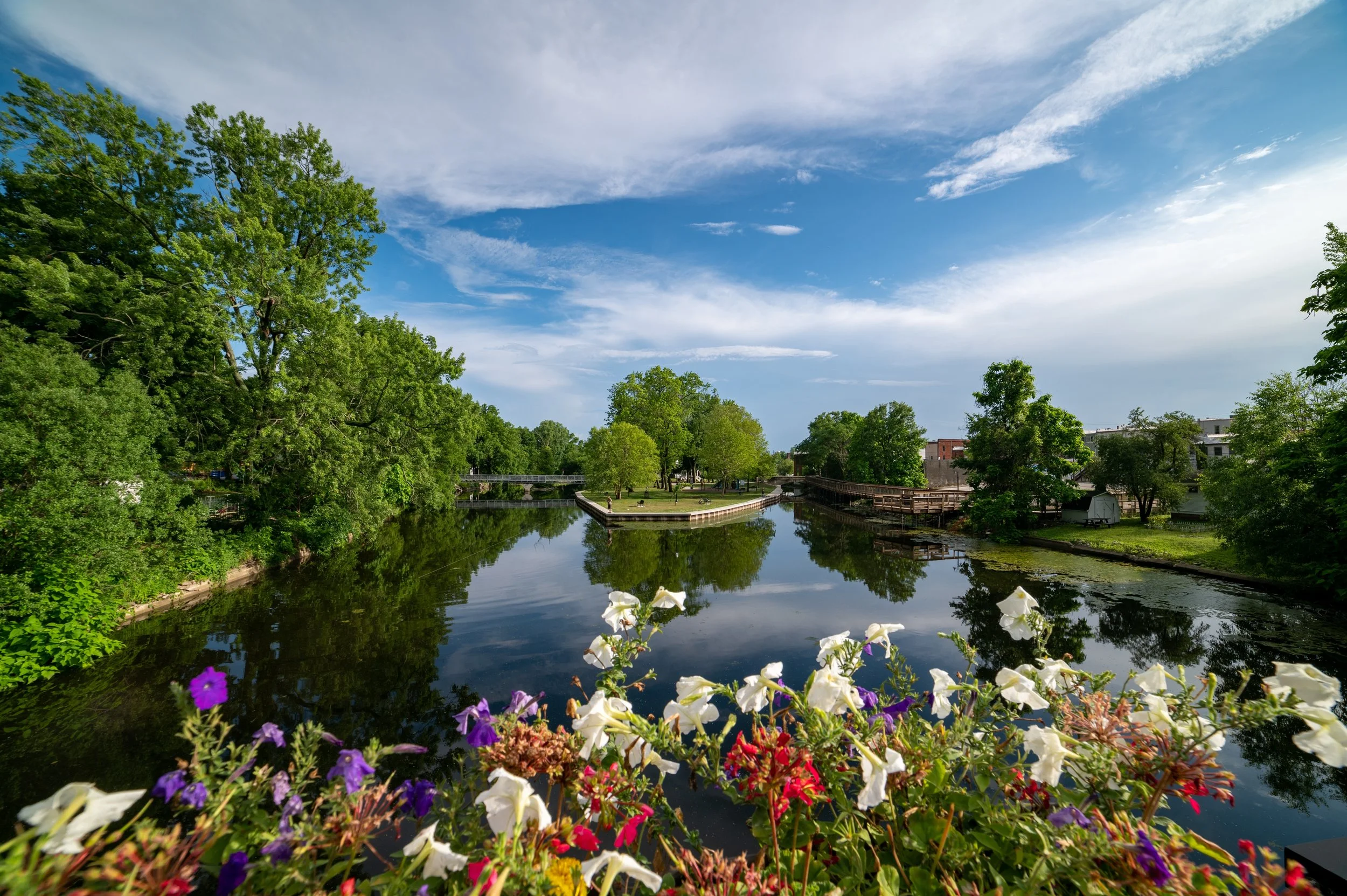 Seasonal Poison Prevention &amp; Safety&nbsp;