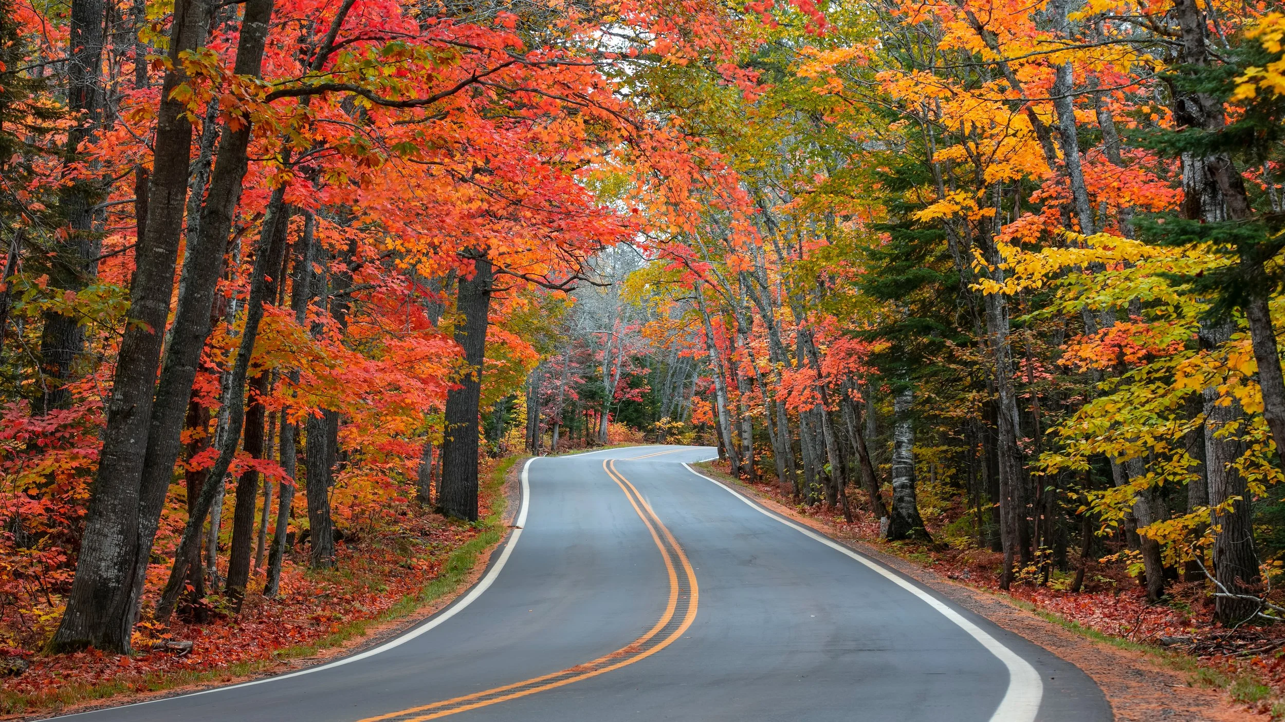 Seasonal Poison Prevention &amp; Safety