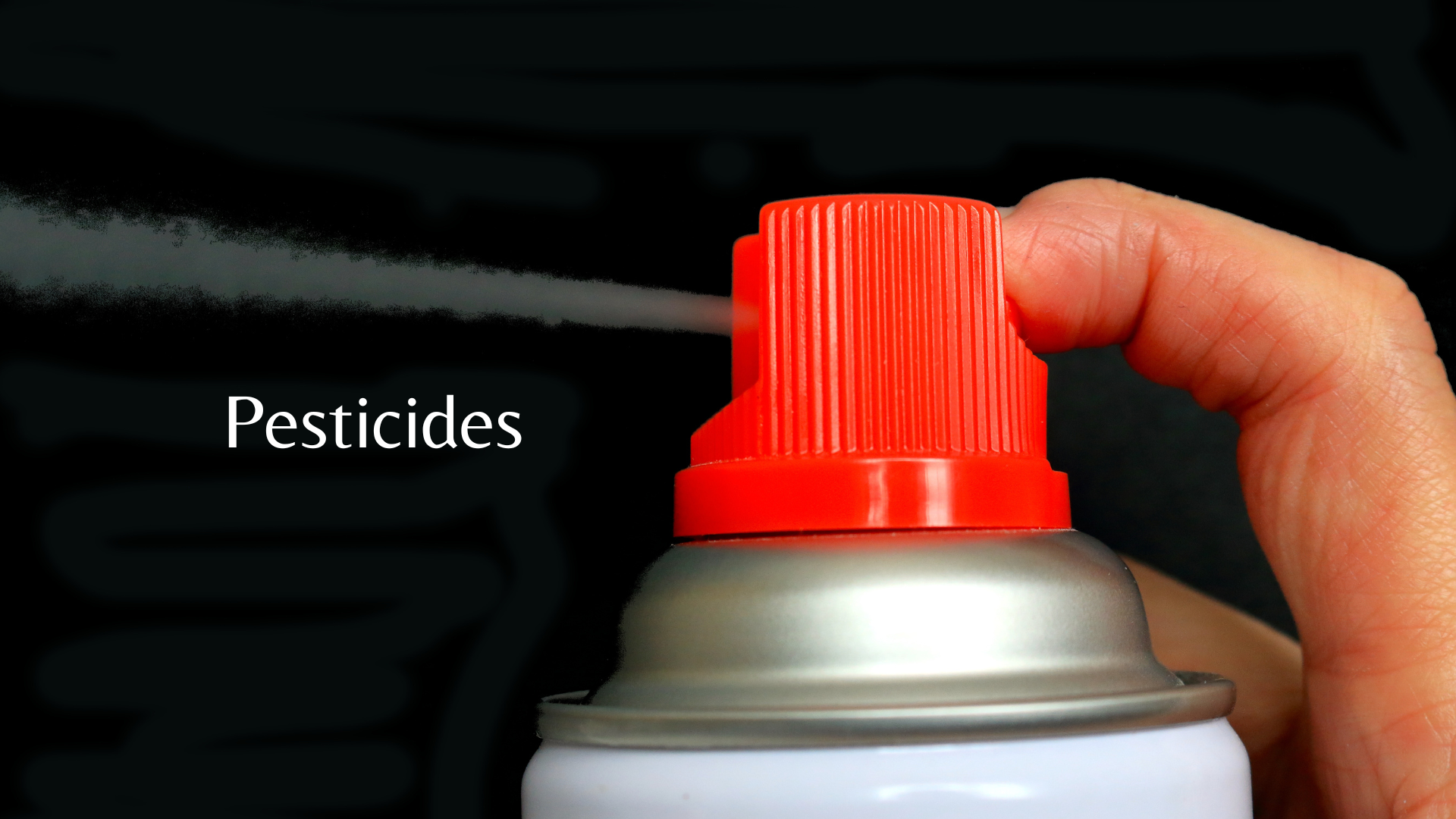 Add a little bit of body text (1).png