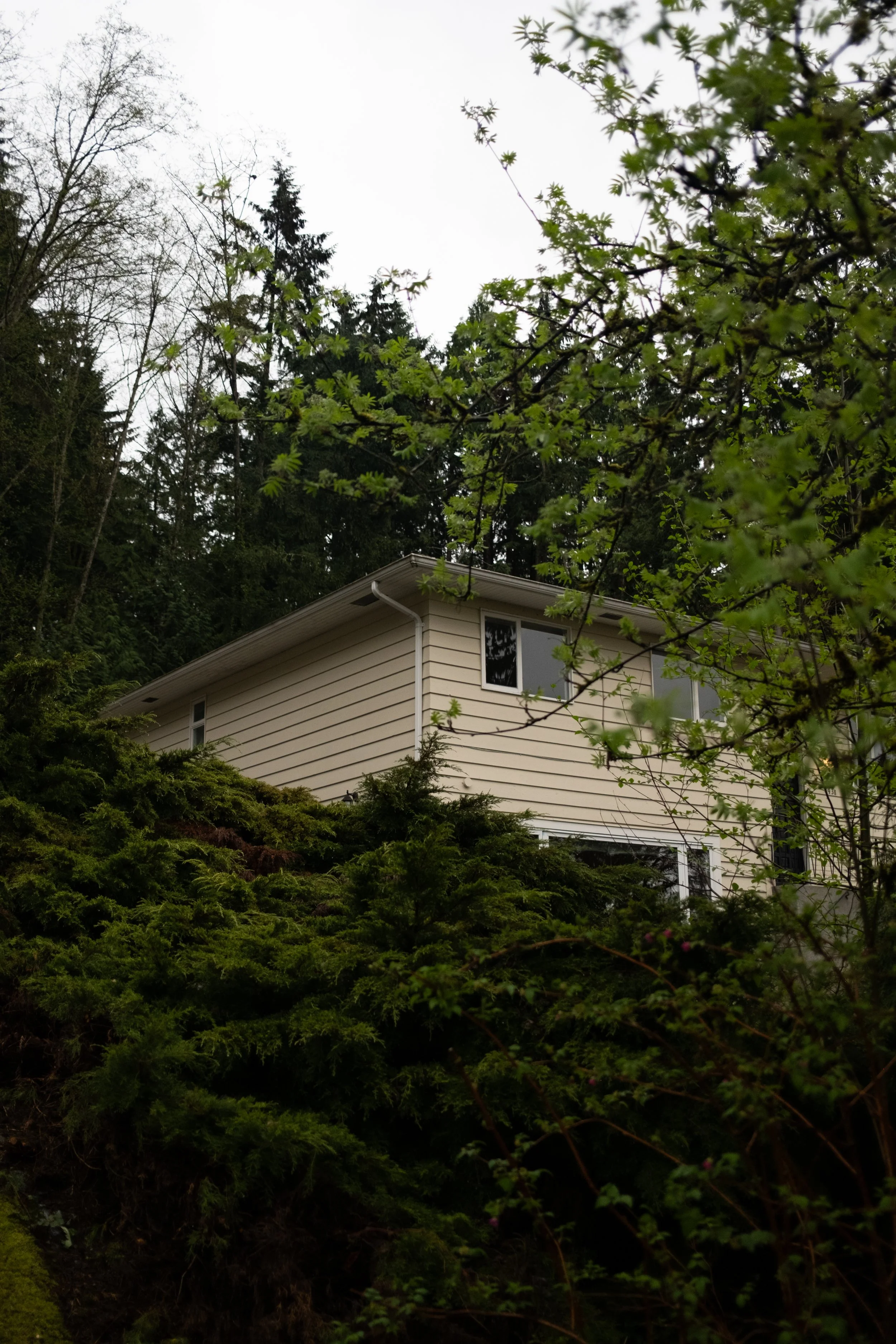 A house with beige siding and white trim is partially visible behind lush green bushes and trees, with tall trees and an overcast sky in the background.