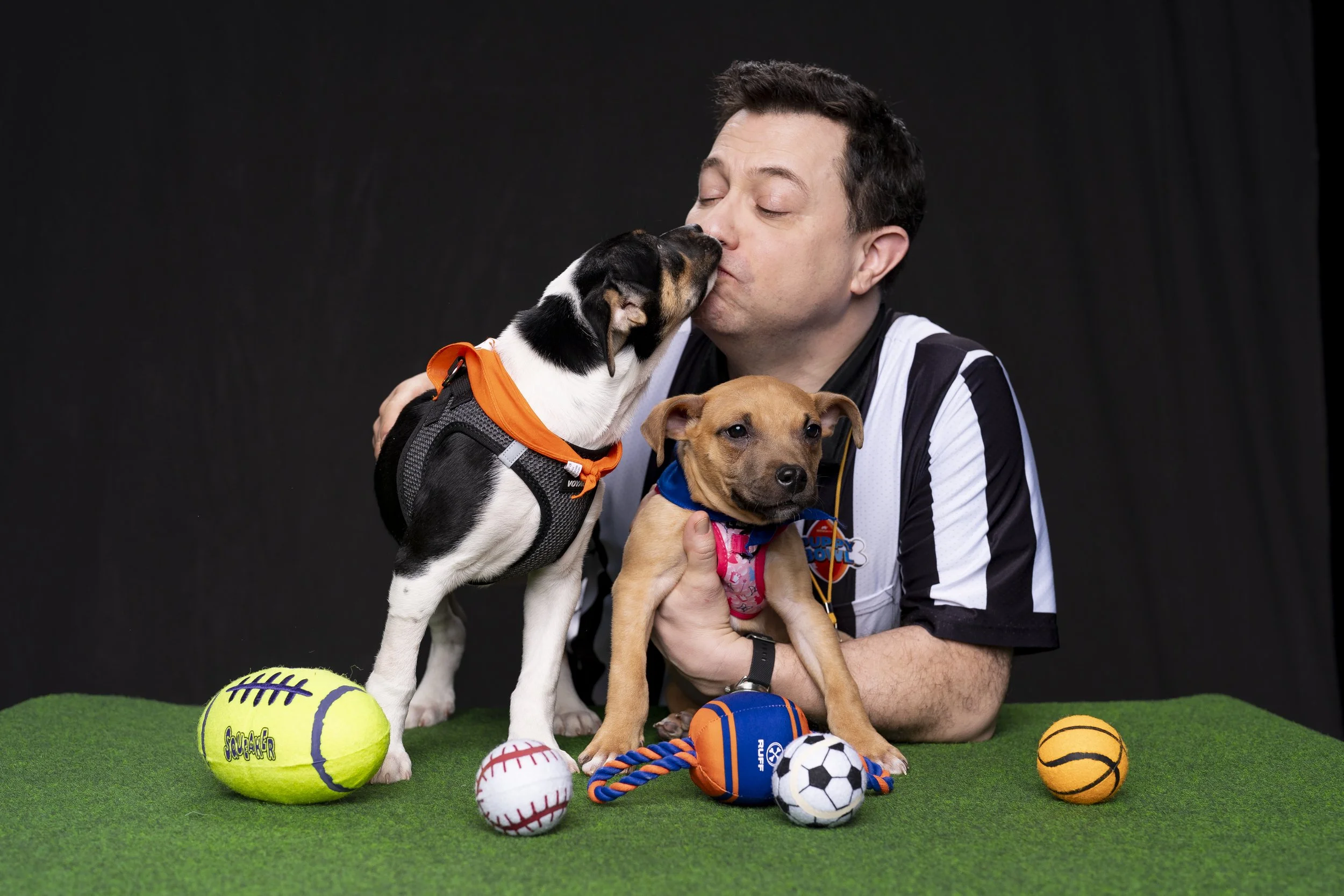 20260203_ENT_Puppy Bowl with Dan Schachner_0002.jpg