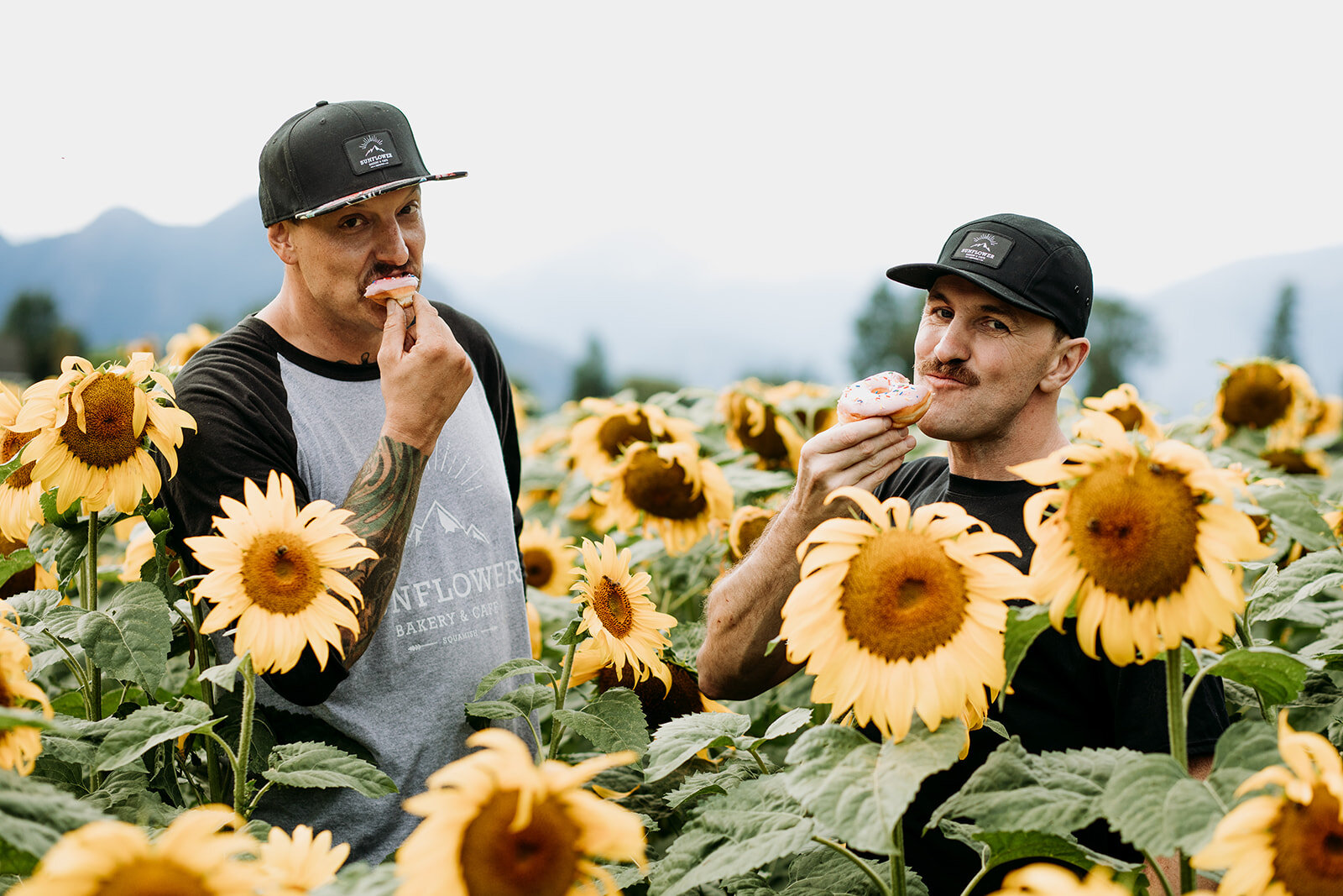 Story Sunflower Bakery And Cafe Squamish story-sunflower-bakery-and-cafe-squamish