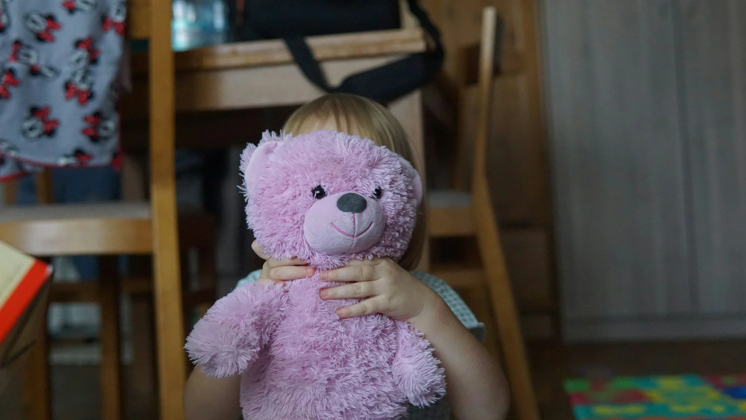 Child holding a pink teddy bear in front of their face, partially obscuring their head.