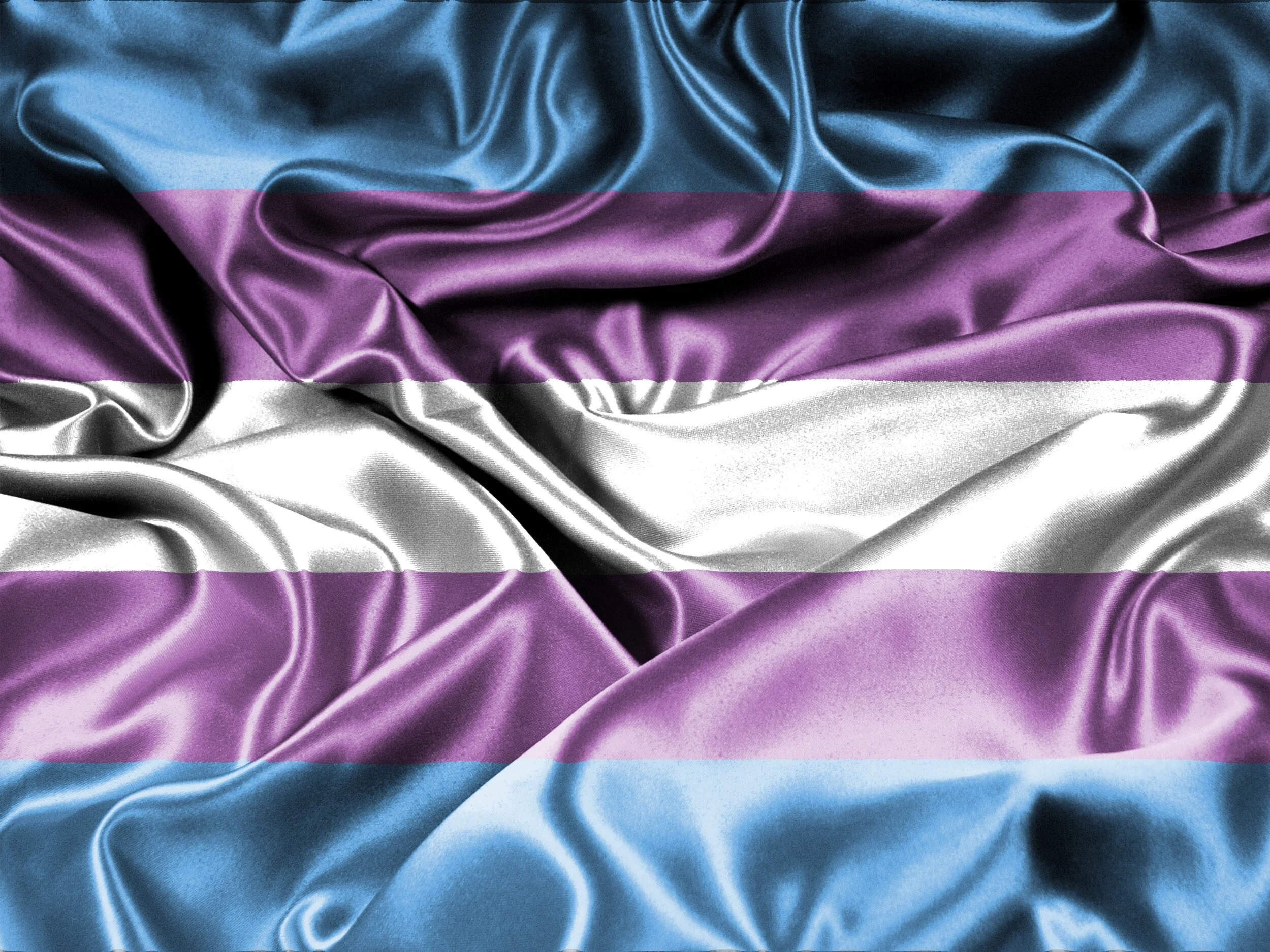 trans flag.jpg