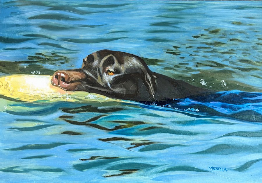 Good Day for a Swim.jpg