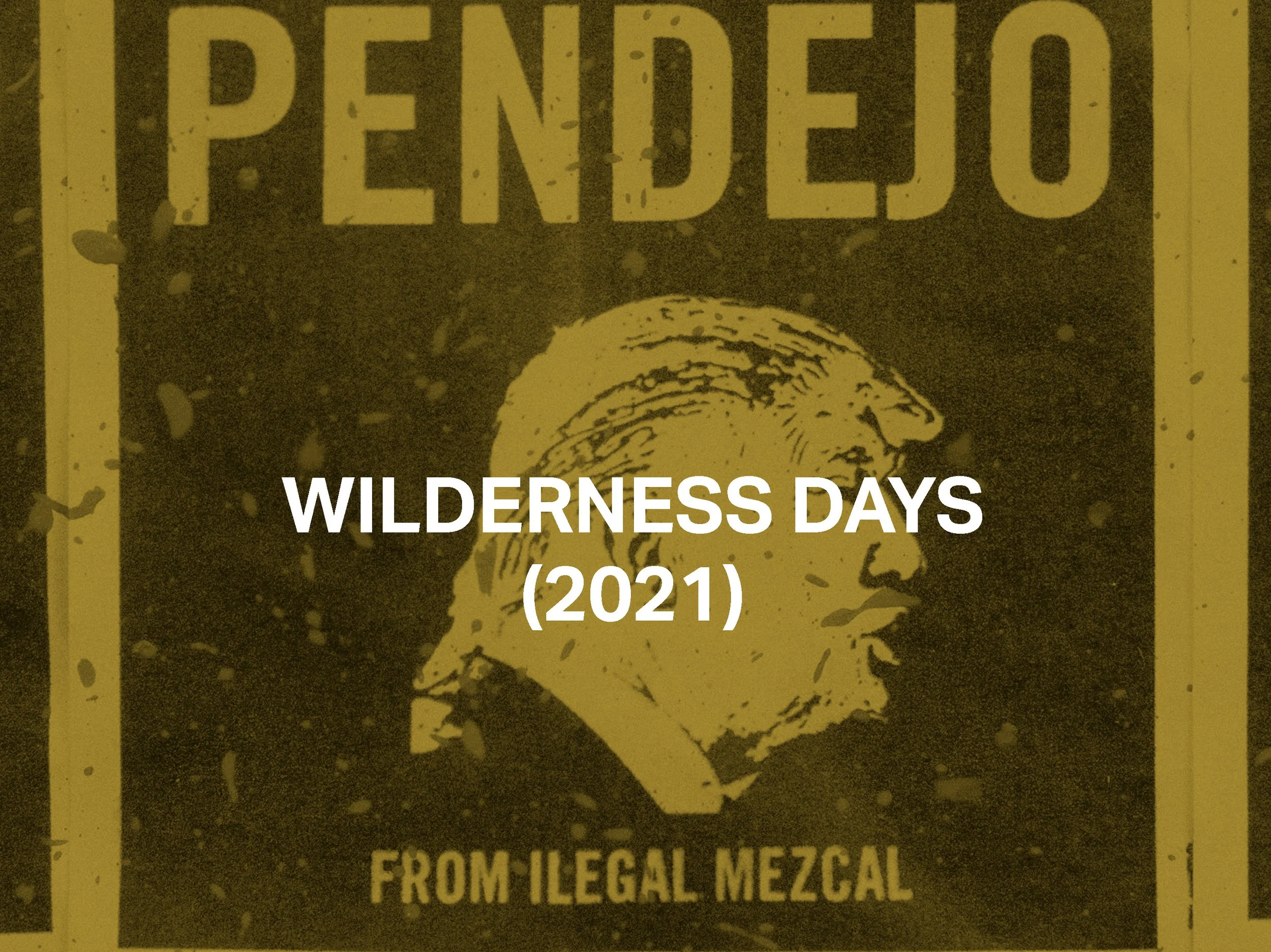 WILDERNESS DAYS (2021)