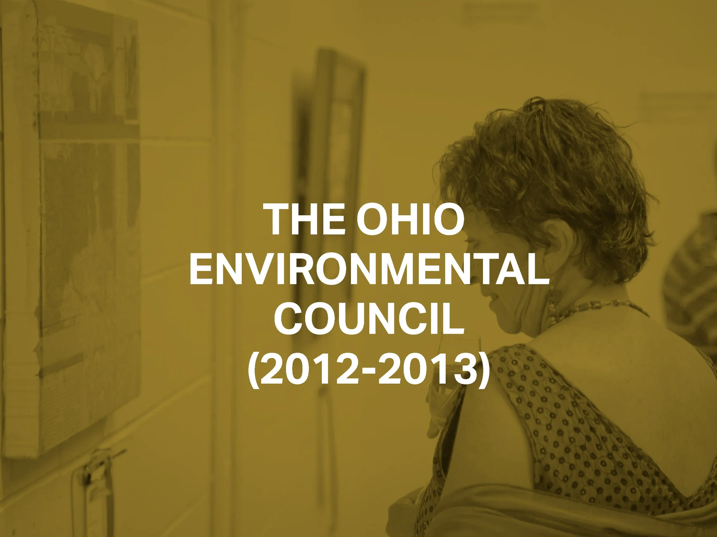 The Ohio Environmental Council (2012)