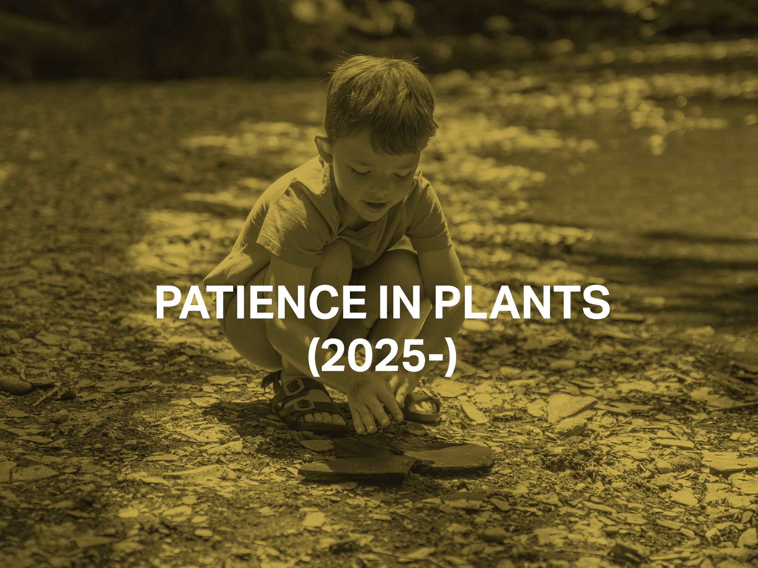 Patience in Plants (2025-)