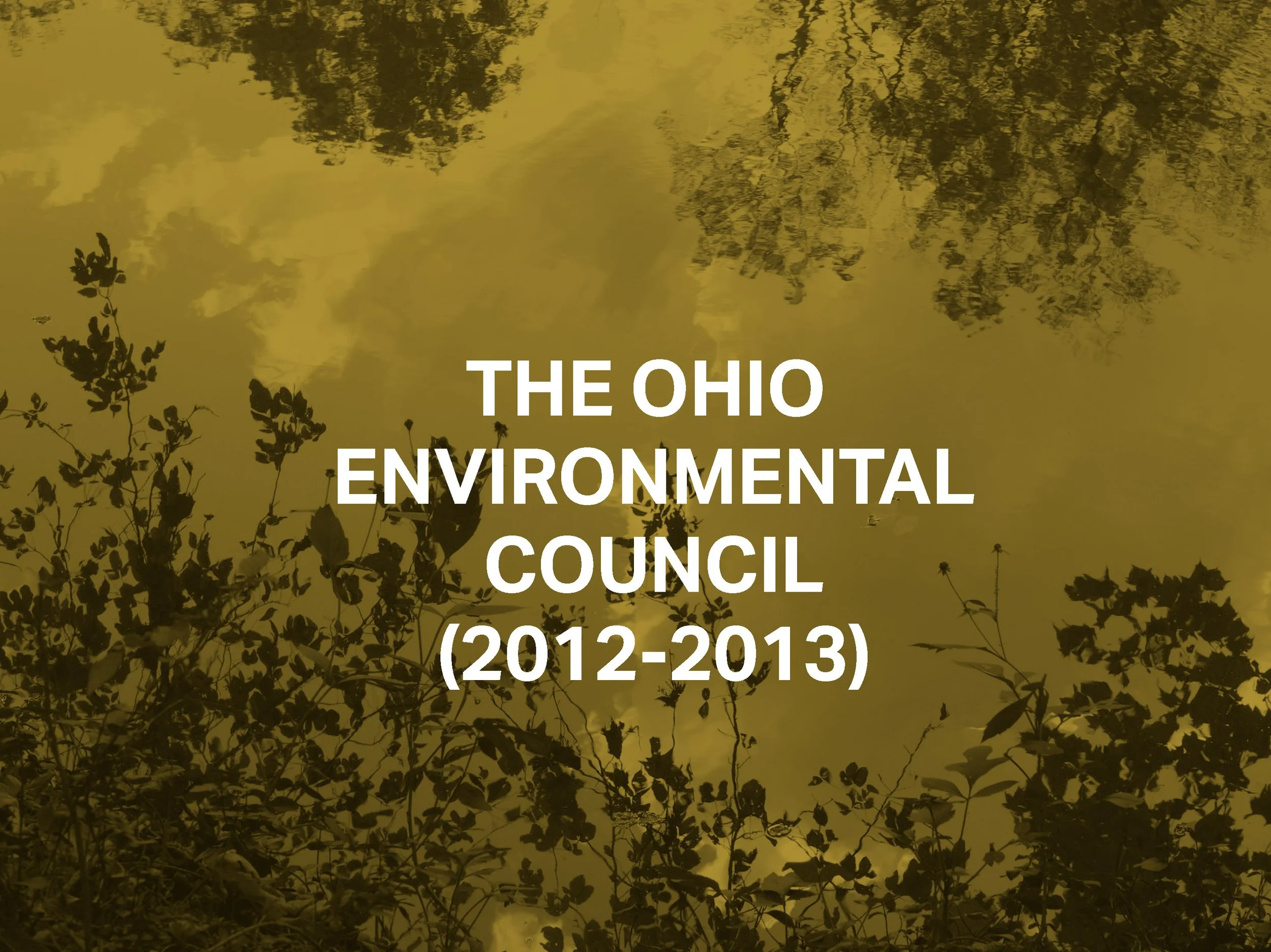 THE OHIO ENVIRONMENTAL COUNCIL