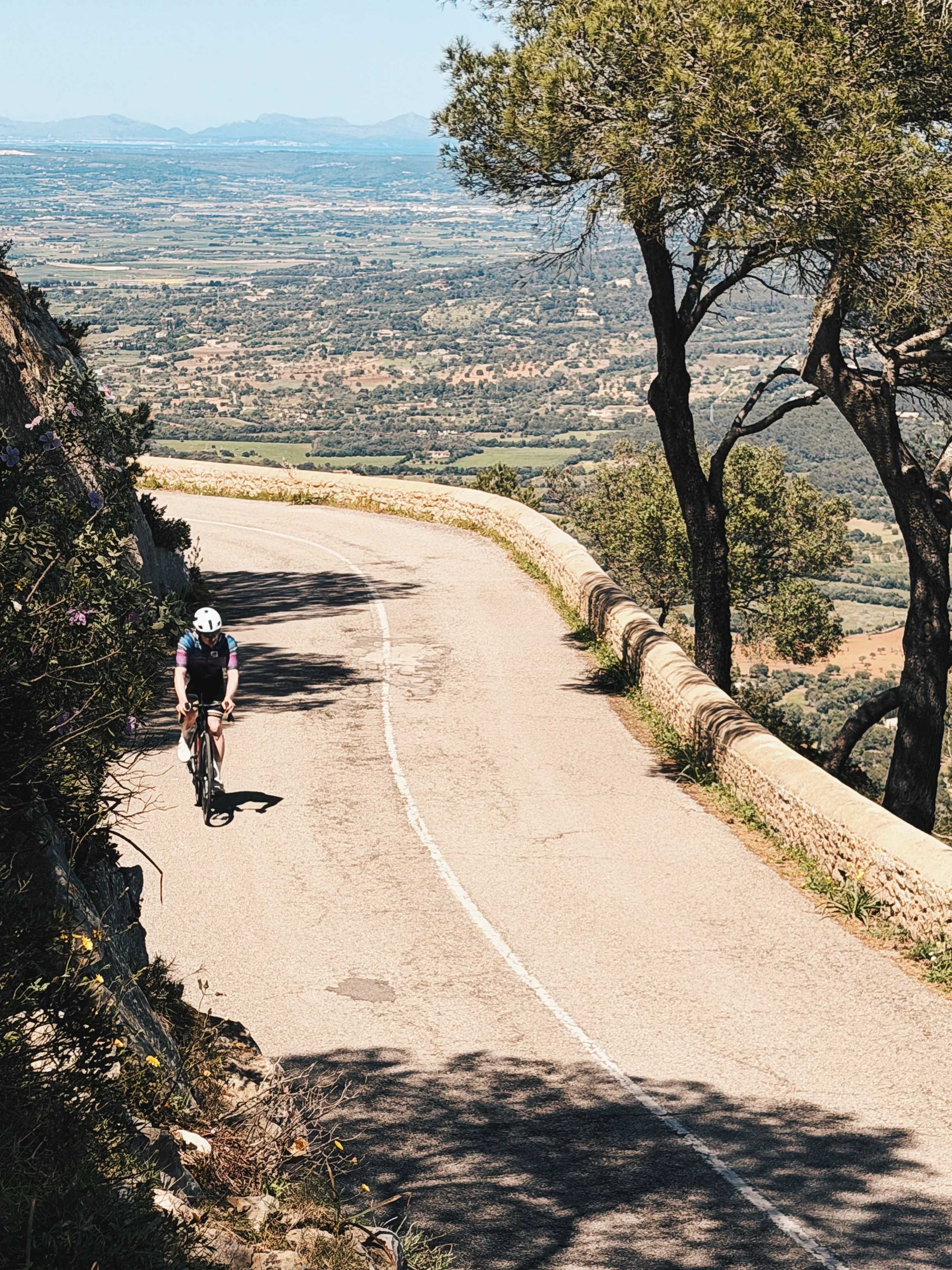 T3 Mallorca Training Camp