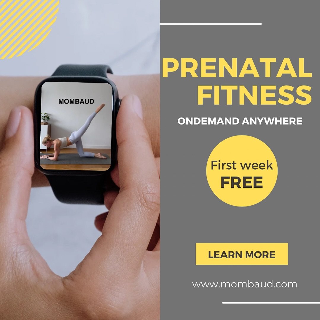 Anywhere you want it, that&rsquo;s the way you need it! MOMBAUD is available OnDemand for your ever-changing life! 

Learn more at www.mombaud.com 

#pelvicfloortherapy #prenatalfitness #postpartumfitness #postnatalfitness #momfitness #momlife