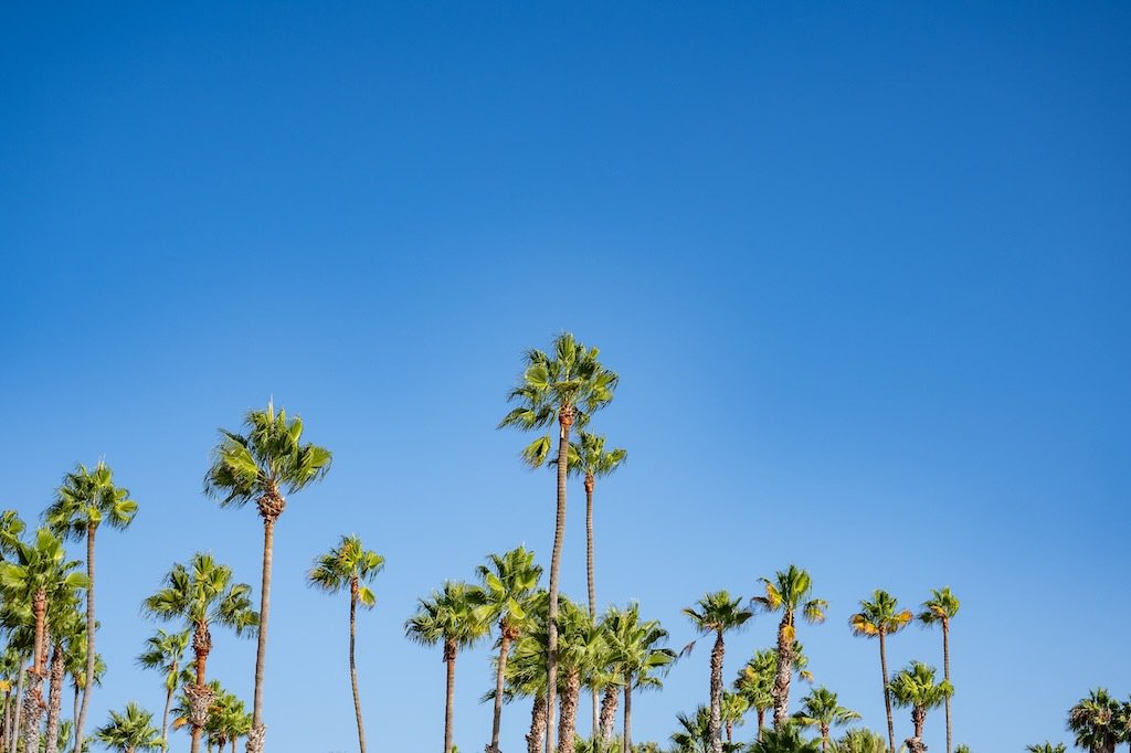 2026-SANDIEGO-CA-SR-@kailoapowers-32.jpeg