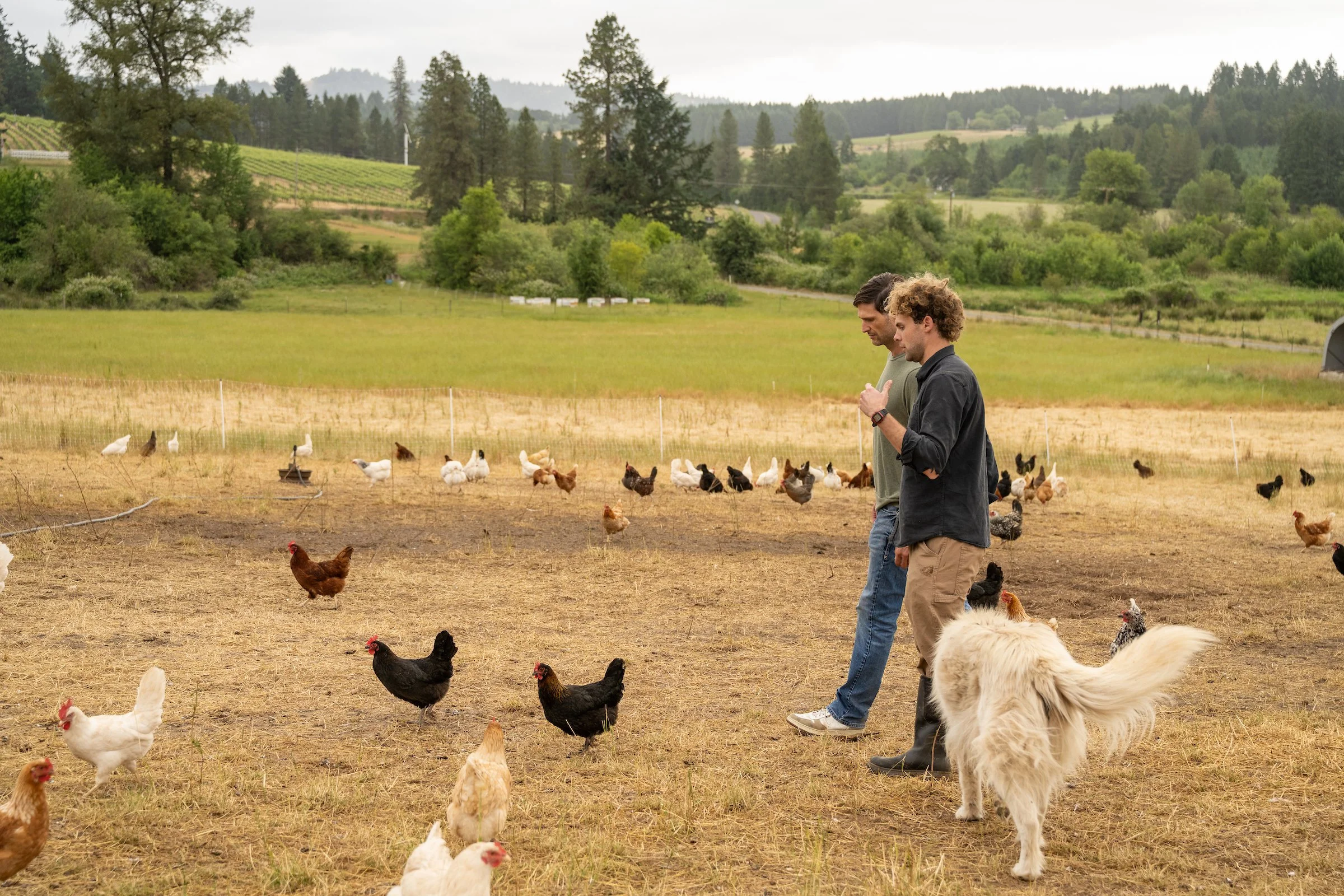 Friends of Family Farmers