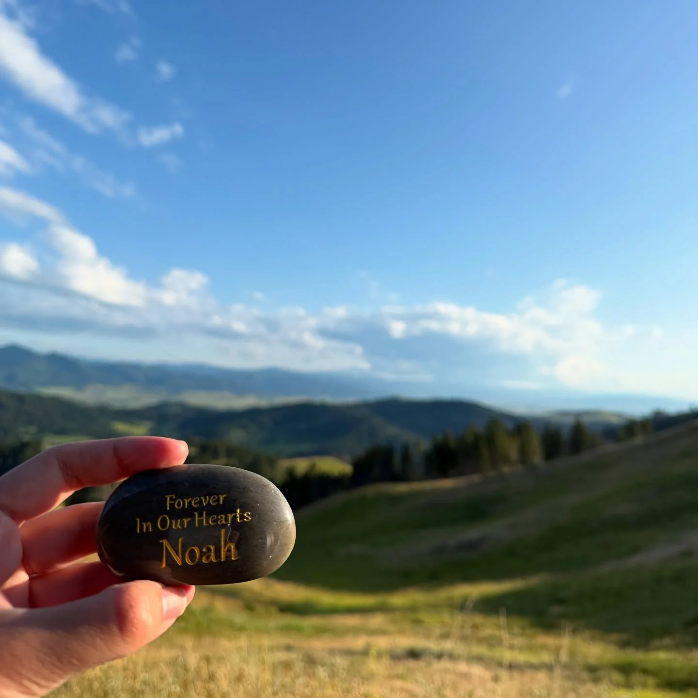 📍Bozeman, Montana