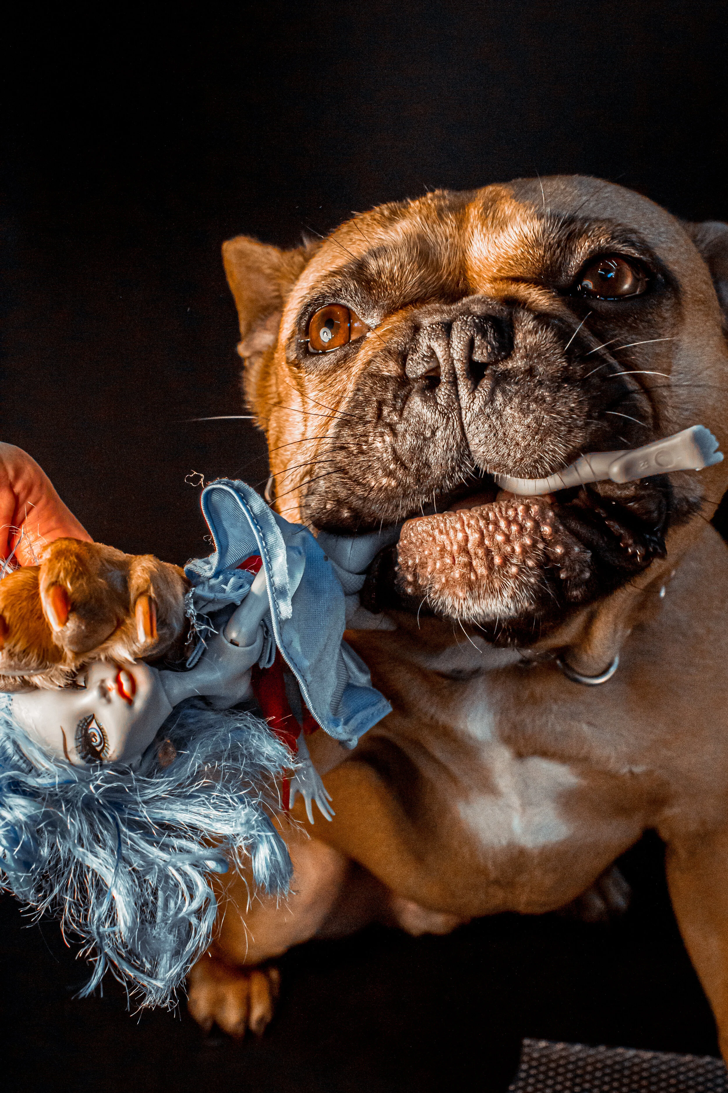 Rage - Sofia Wright-36.jpg