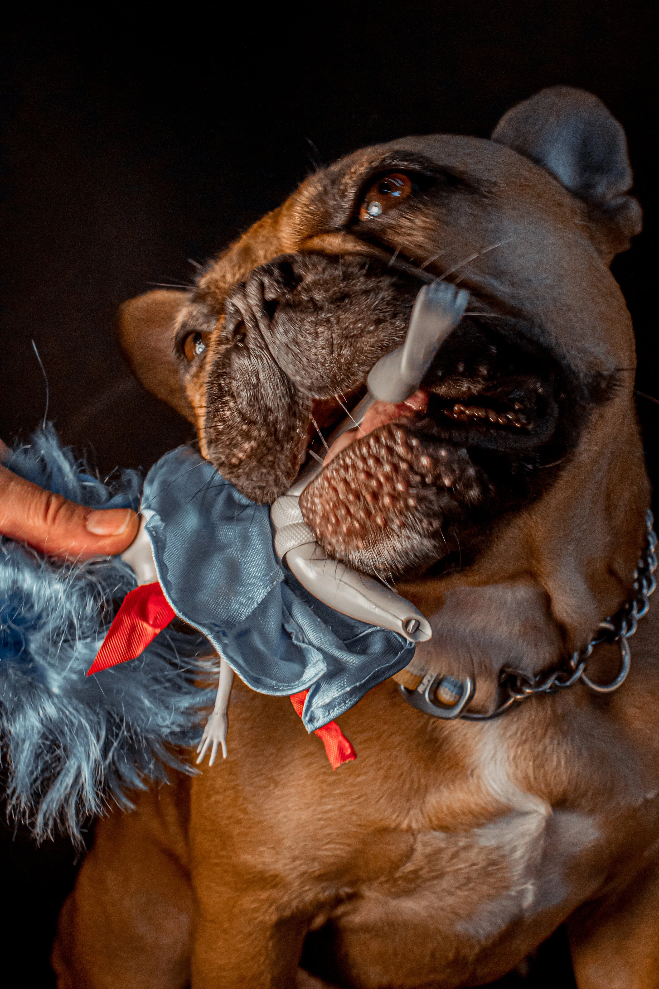 Rage - Sofia Wright-32.jpg