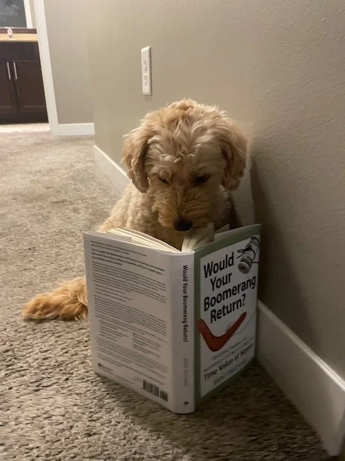 Dog reading in hallway.